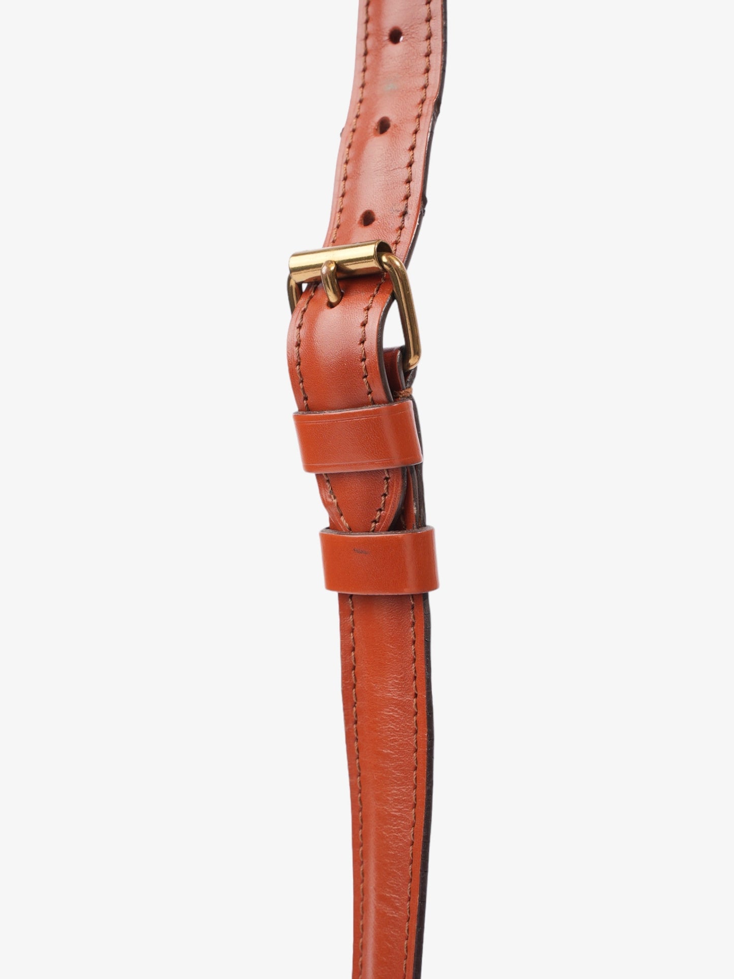 Louis Vuitton Cartouchiere Brown Epi Leather MM