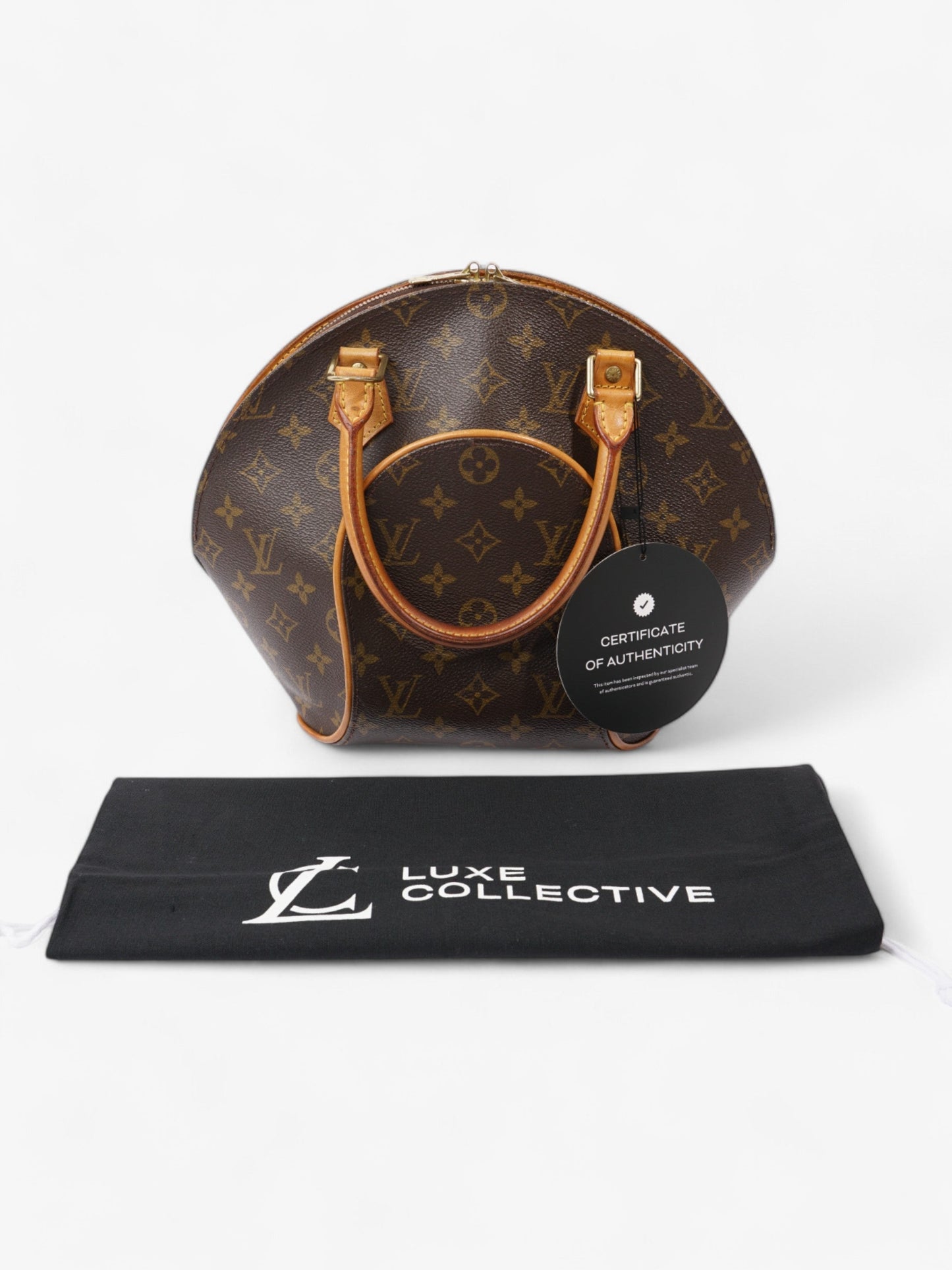Louis Vuitton Ellipse Monogram Coated Canvas PM