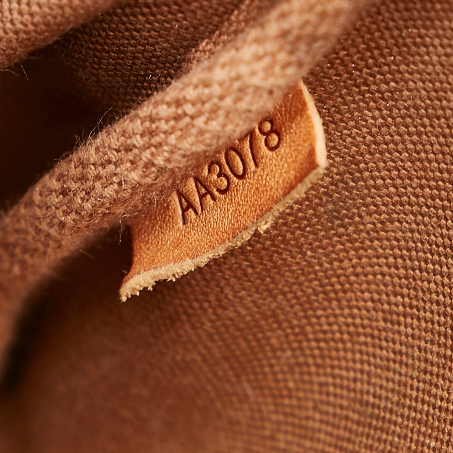 Louis Vuitton Eva Monogram Canvas