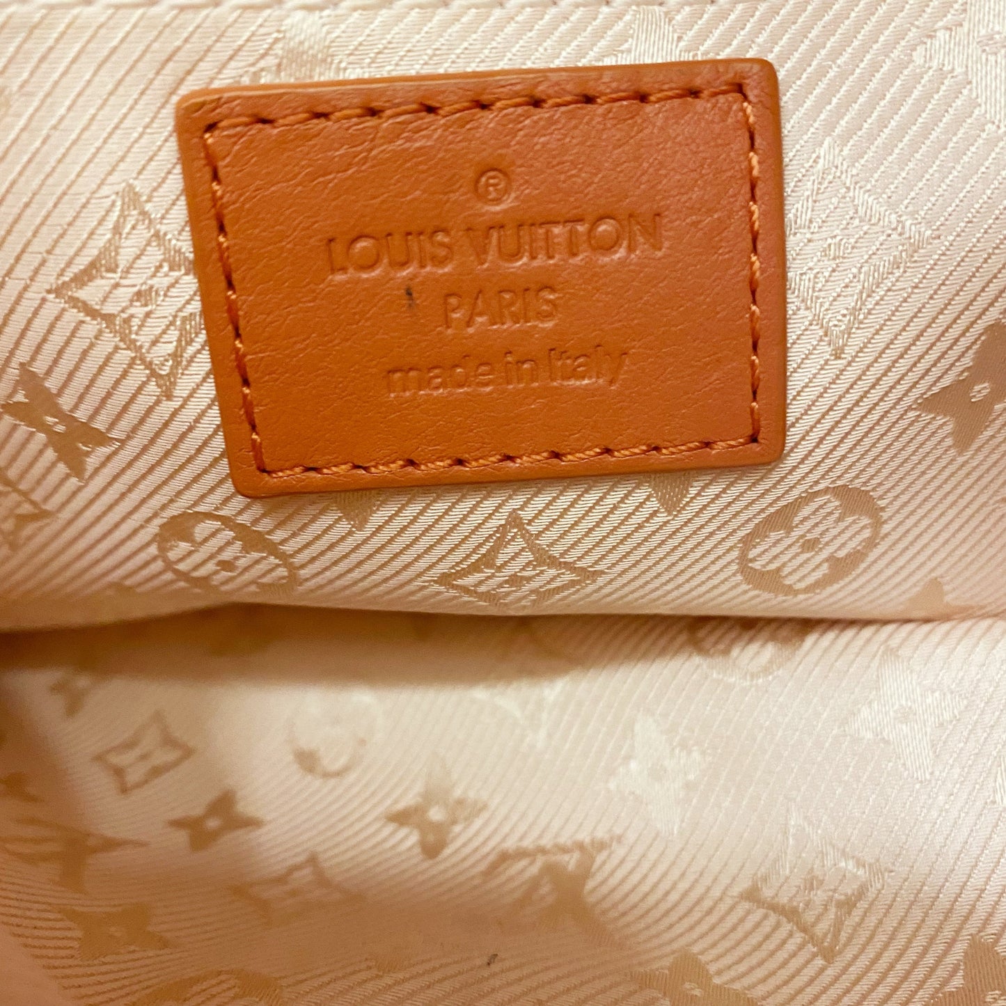 Louis Vuitton Clutch TWS pop