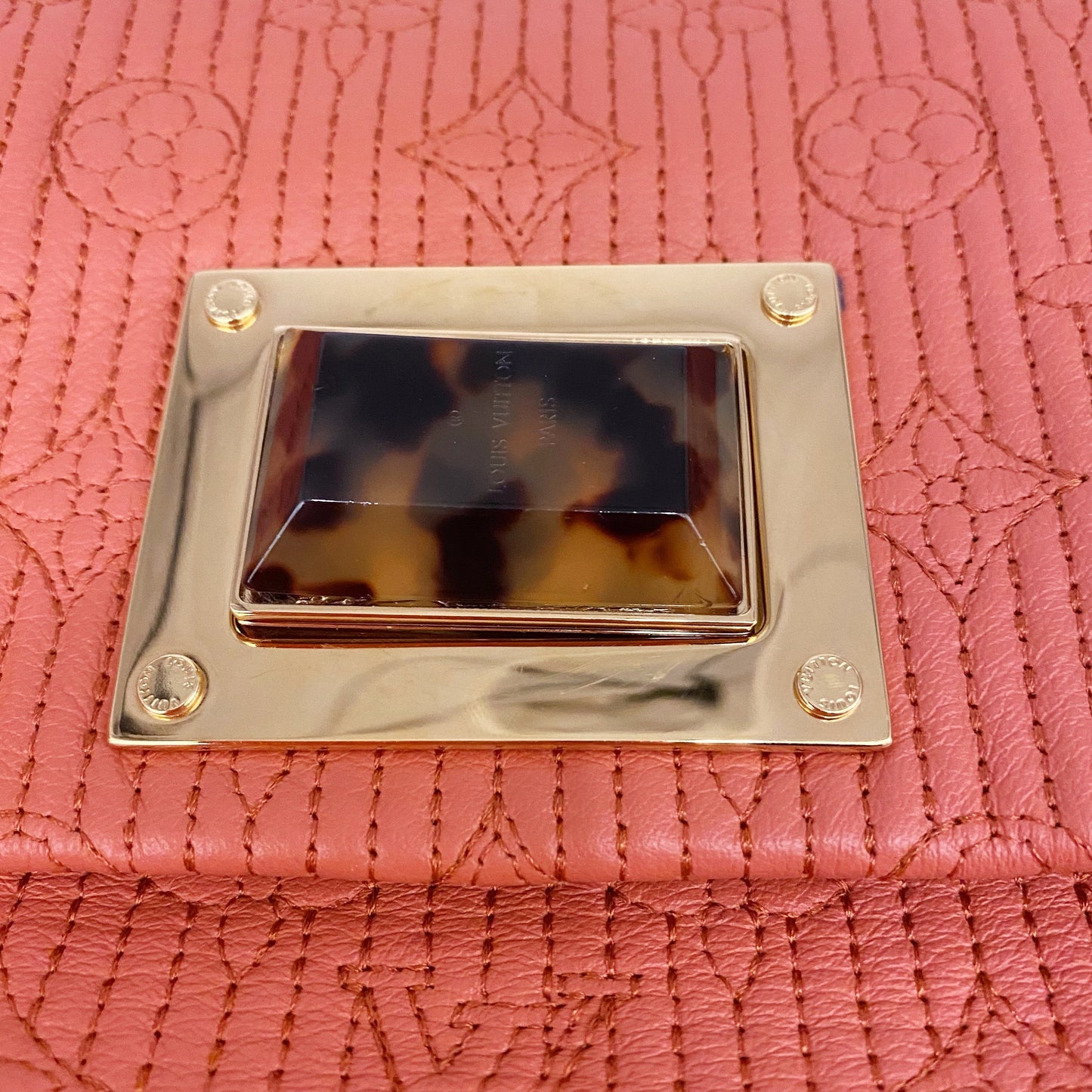 Louis Vuitton Clutch TWS pop
