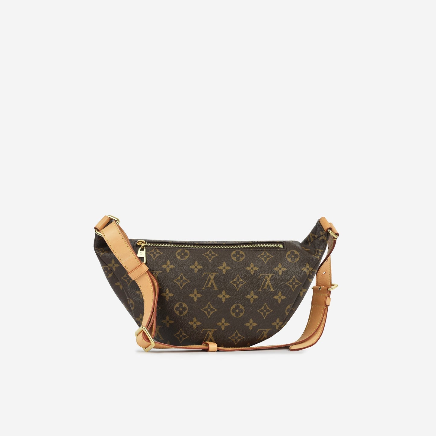 Louis Vuitton Bumbag - Monogram