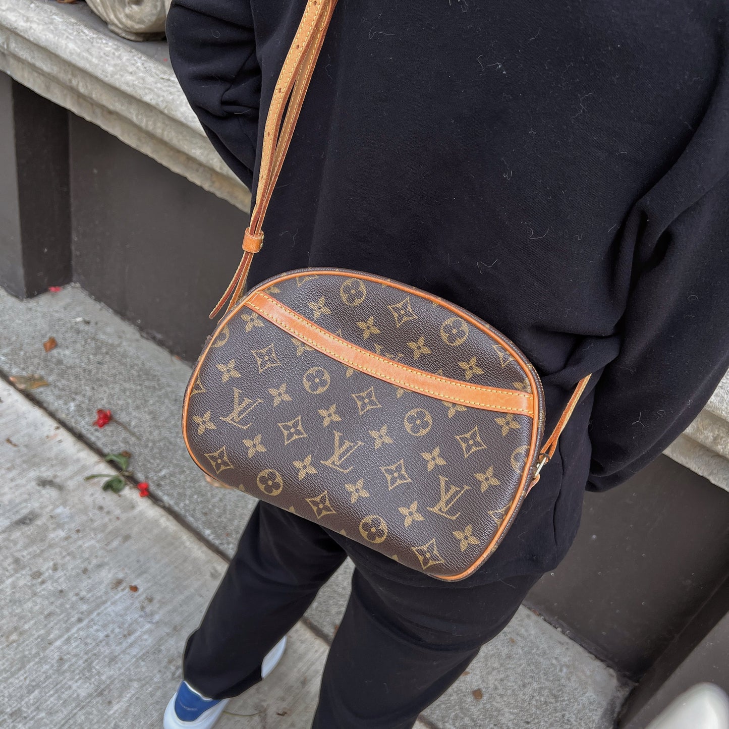Louis Vuitton Blois Crossbody Bag TWS pop