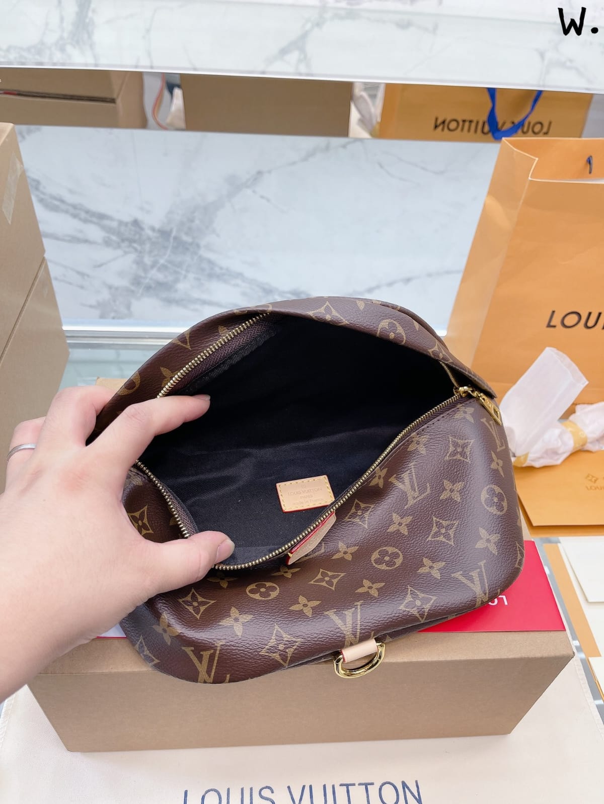 Louis Vuitton Bum Bag