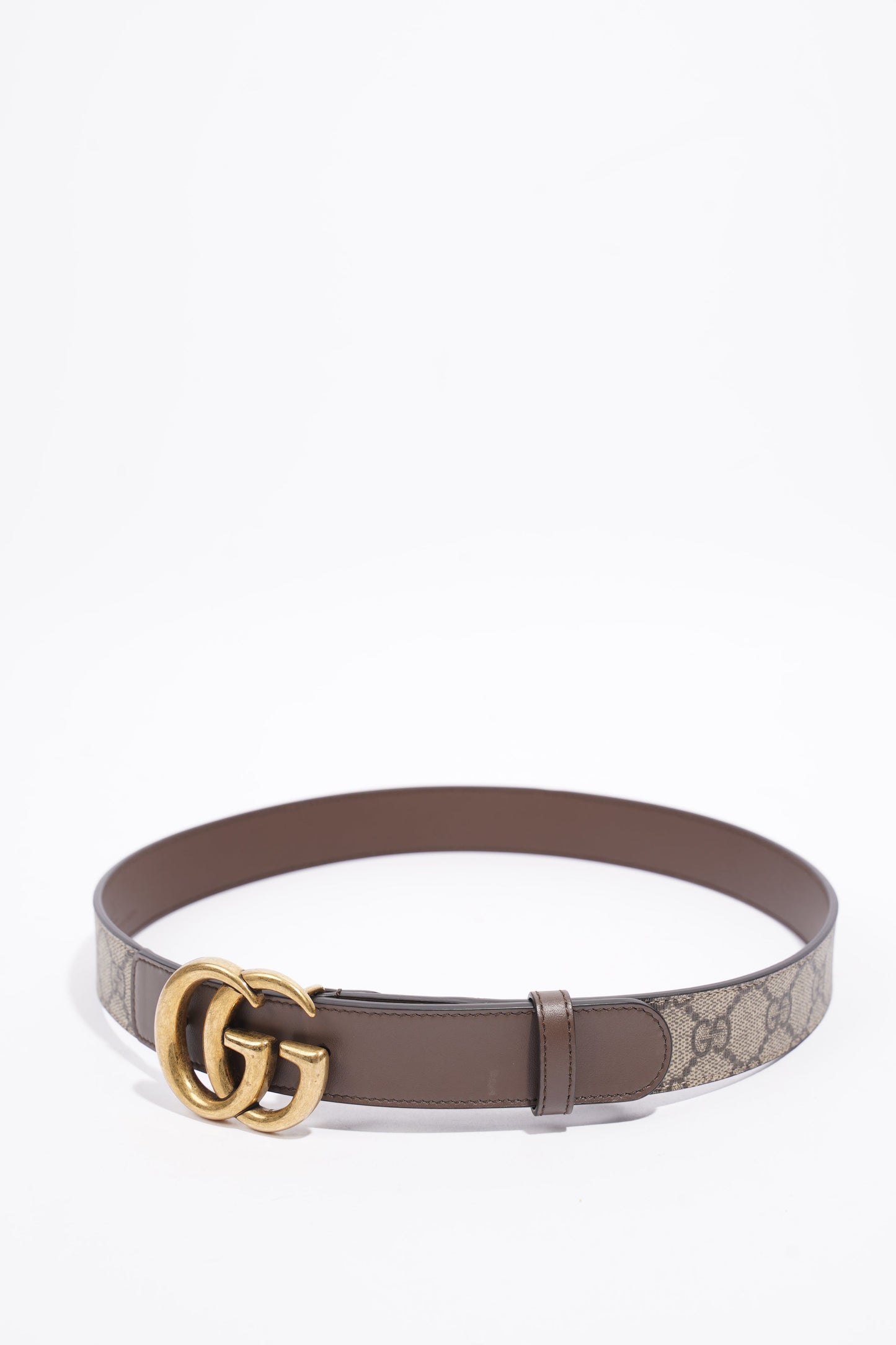 Gucci Marmont Belt Supreme Coated Canvas 80cm 32"