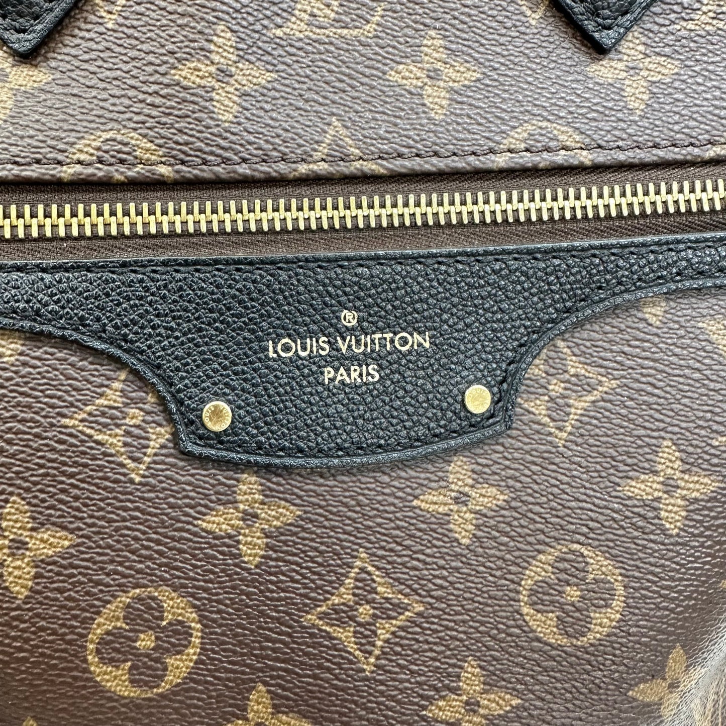 Handbag Designer By Louis Vuitton  Size: Large