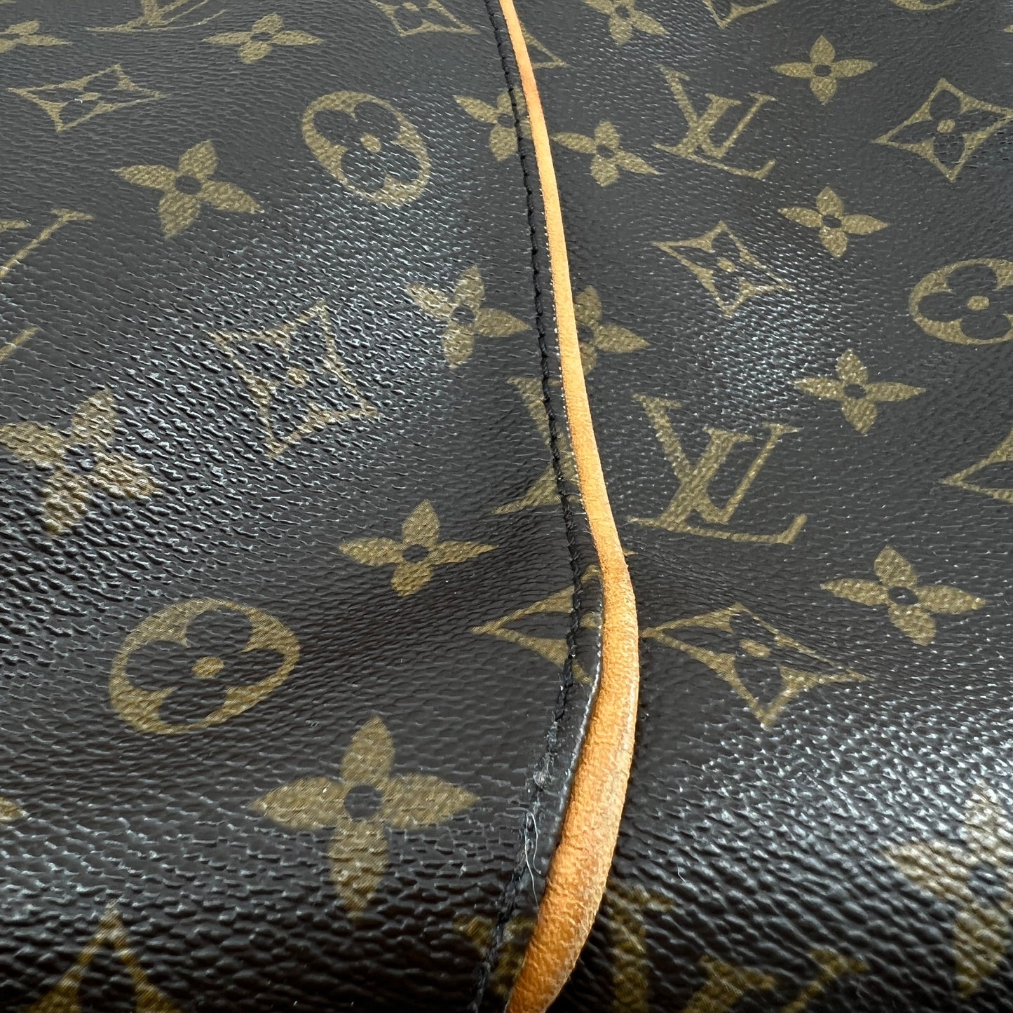 Louis Vuitton Galliera Bag TWS