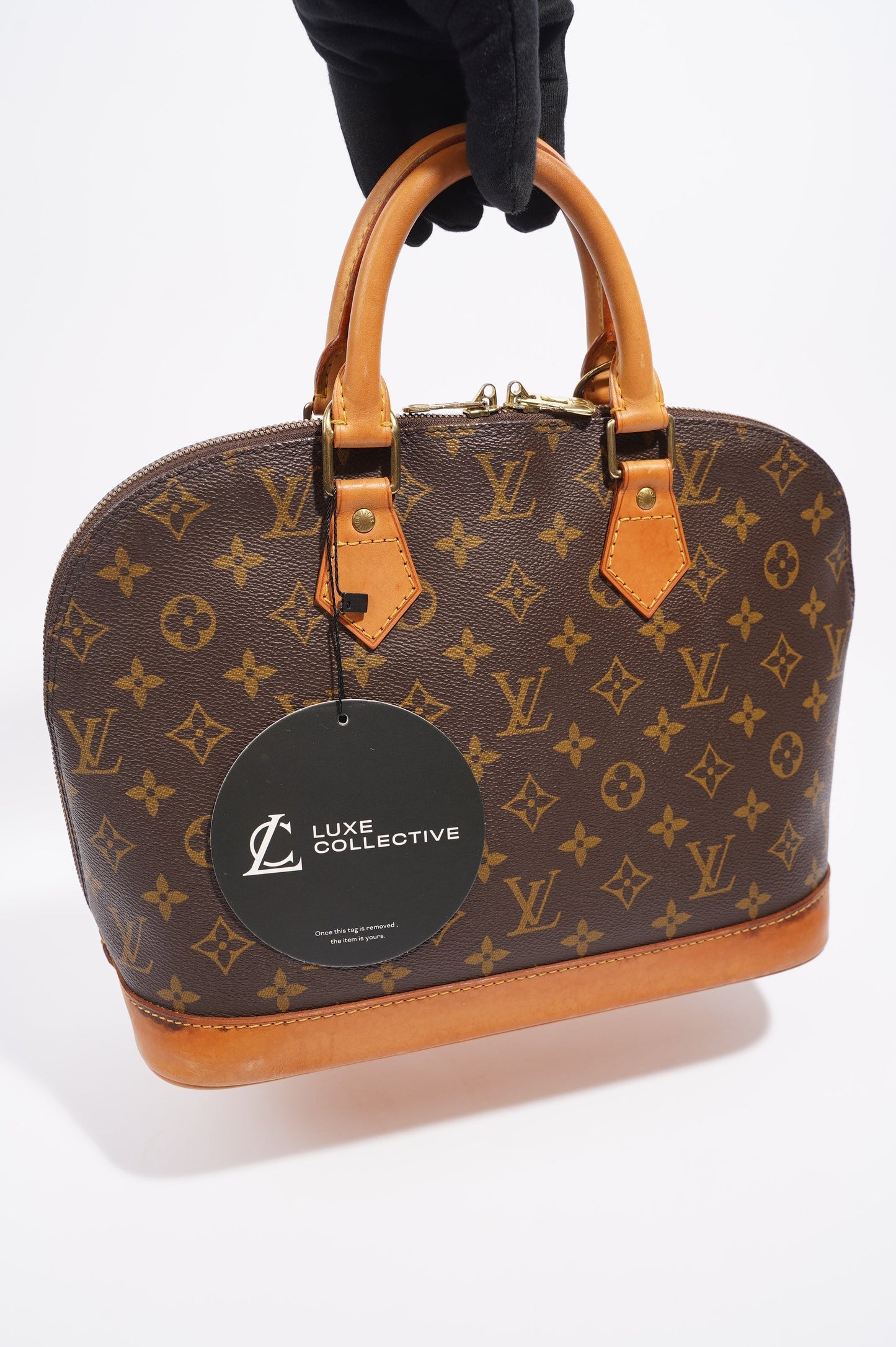 Louis Vuitton Alma Bag Monogram Canvas PM