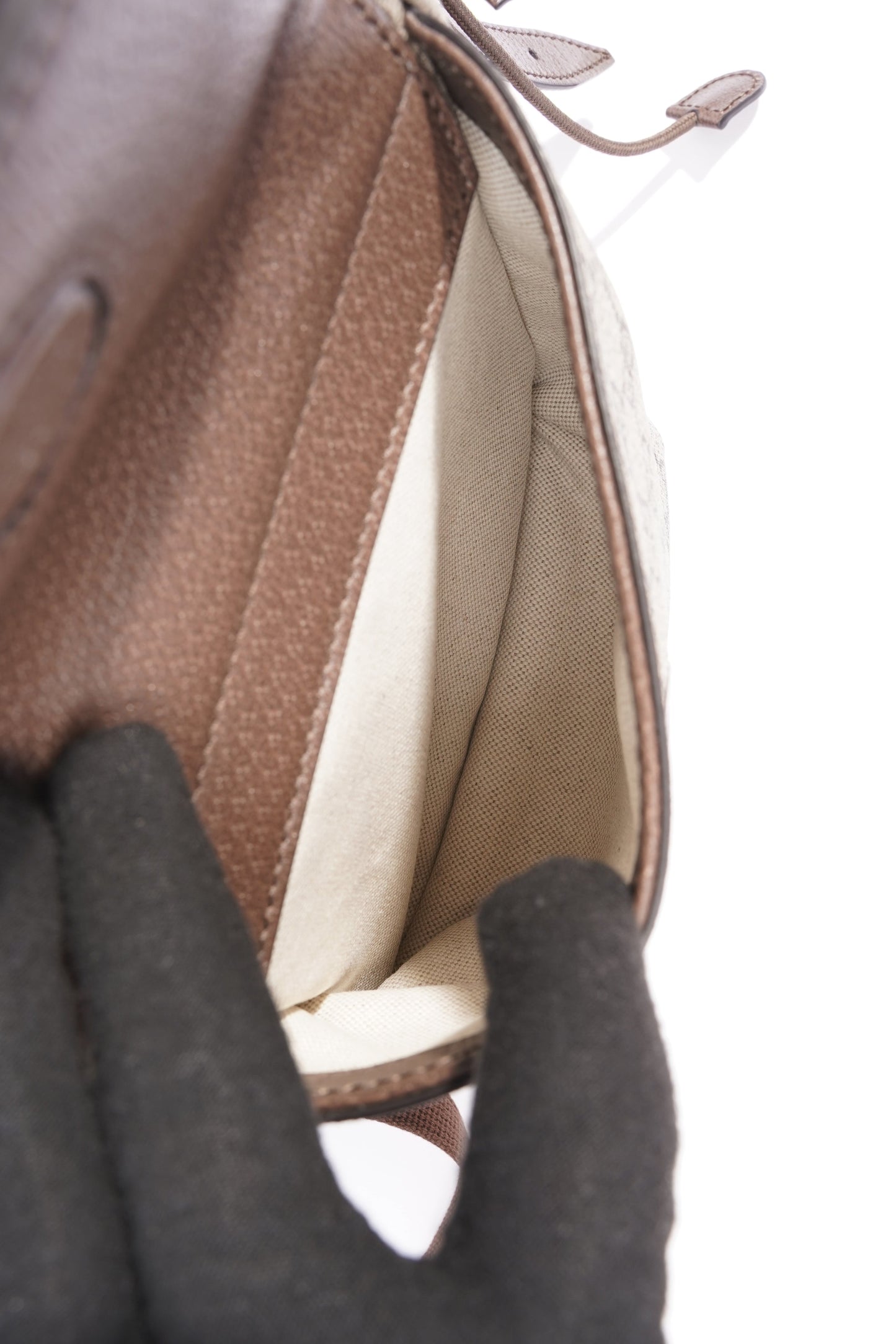 Gucci Ophidia Backpack Supreme Canvas