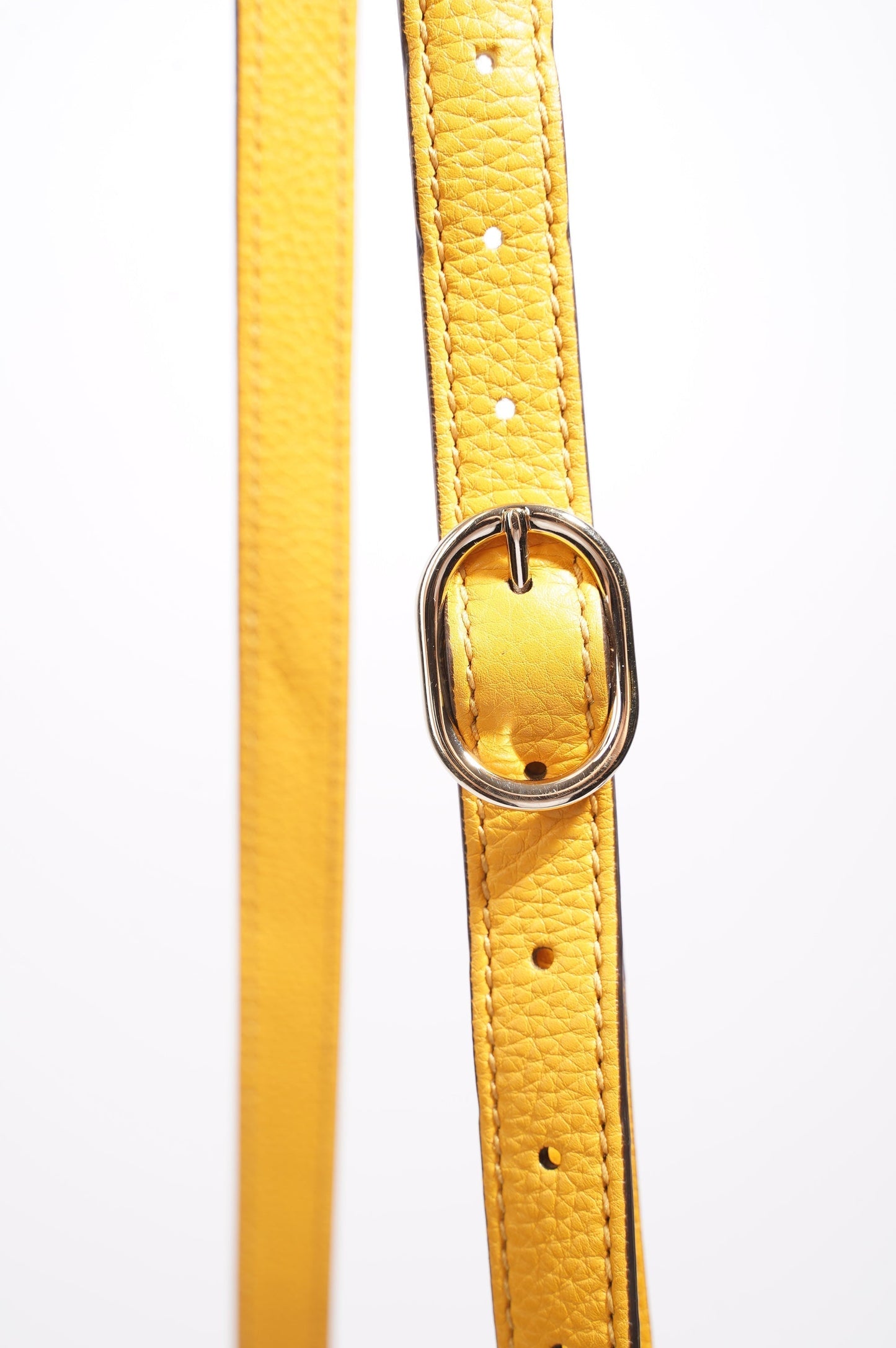 Gucci Womens Diana Bamboo Bag Supreme Canvas / Leather