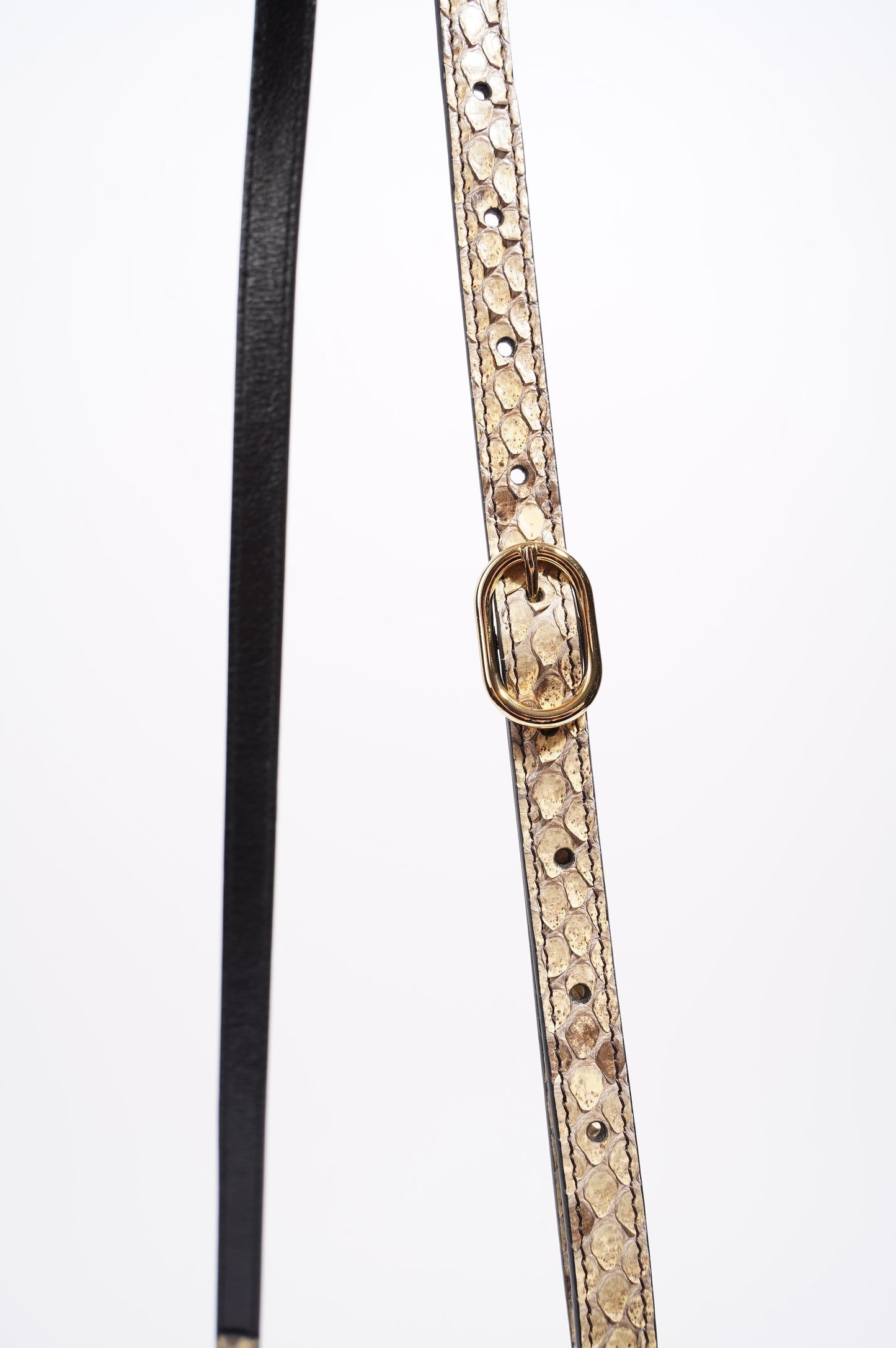 Gucci Womens Thiara Double Bag Black / Python