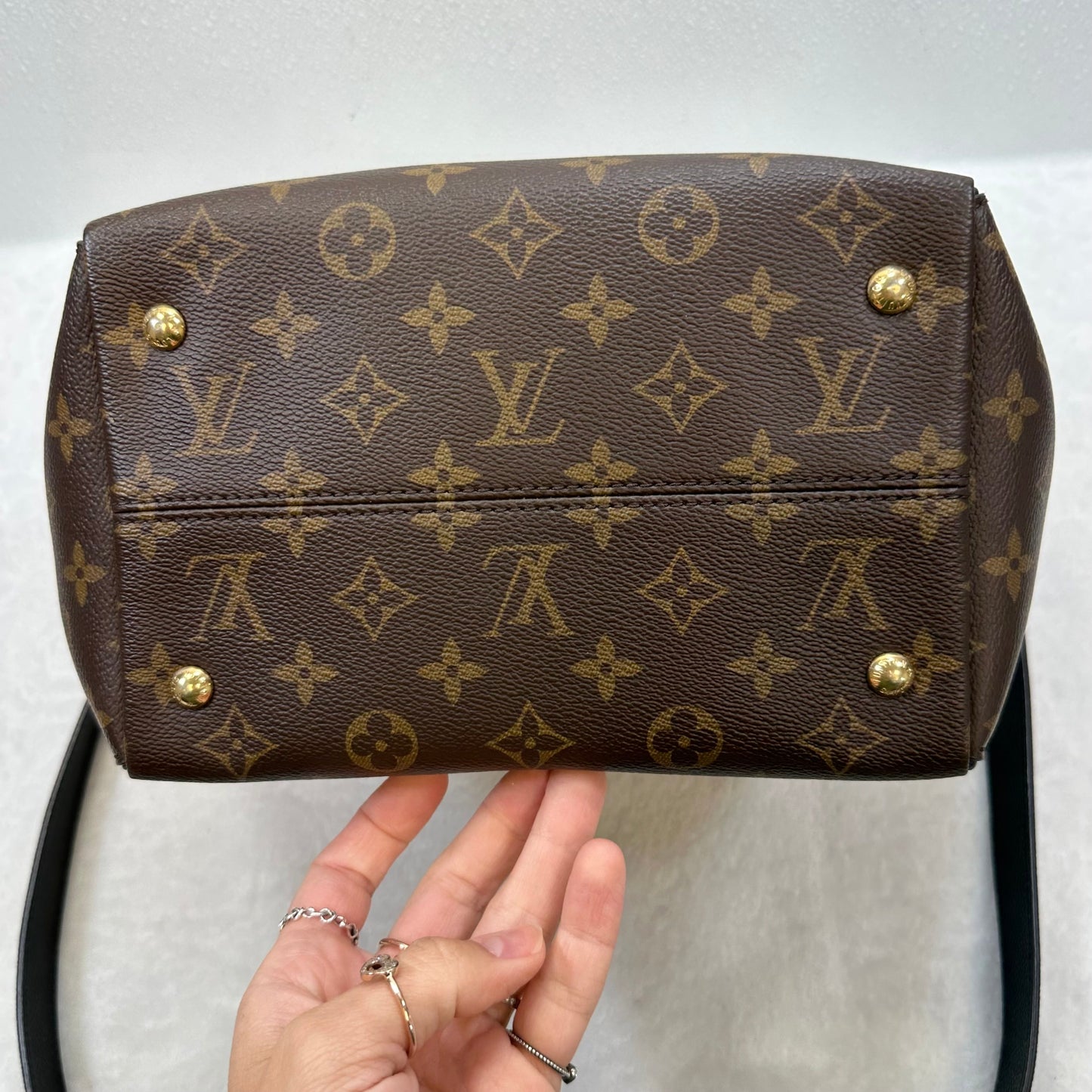Handbag Designer By Louis Vuitton  Size: Large