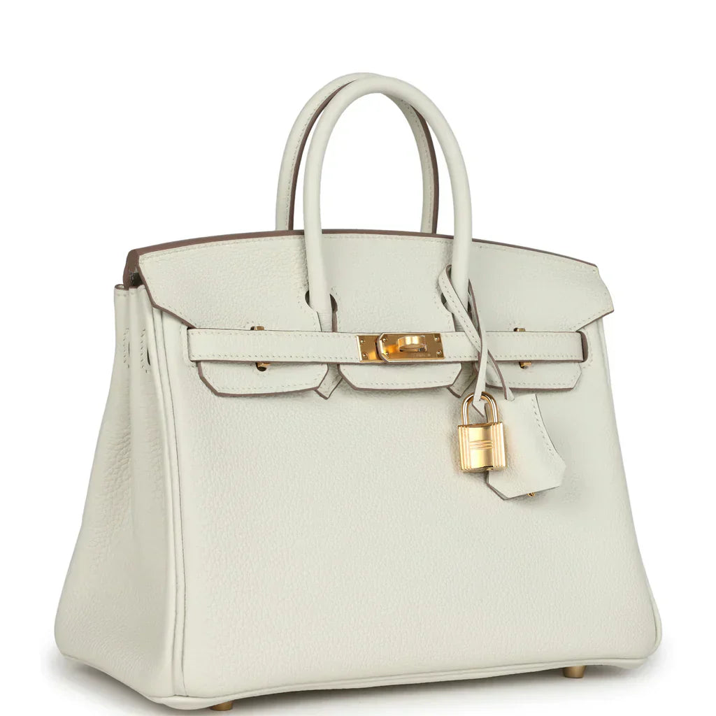 Hermes Birkin 25 Leather Gold Hardware Handbag Bag for Women (White Matt)