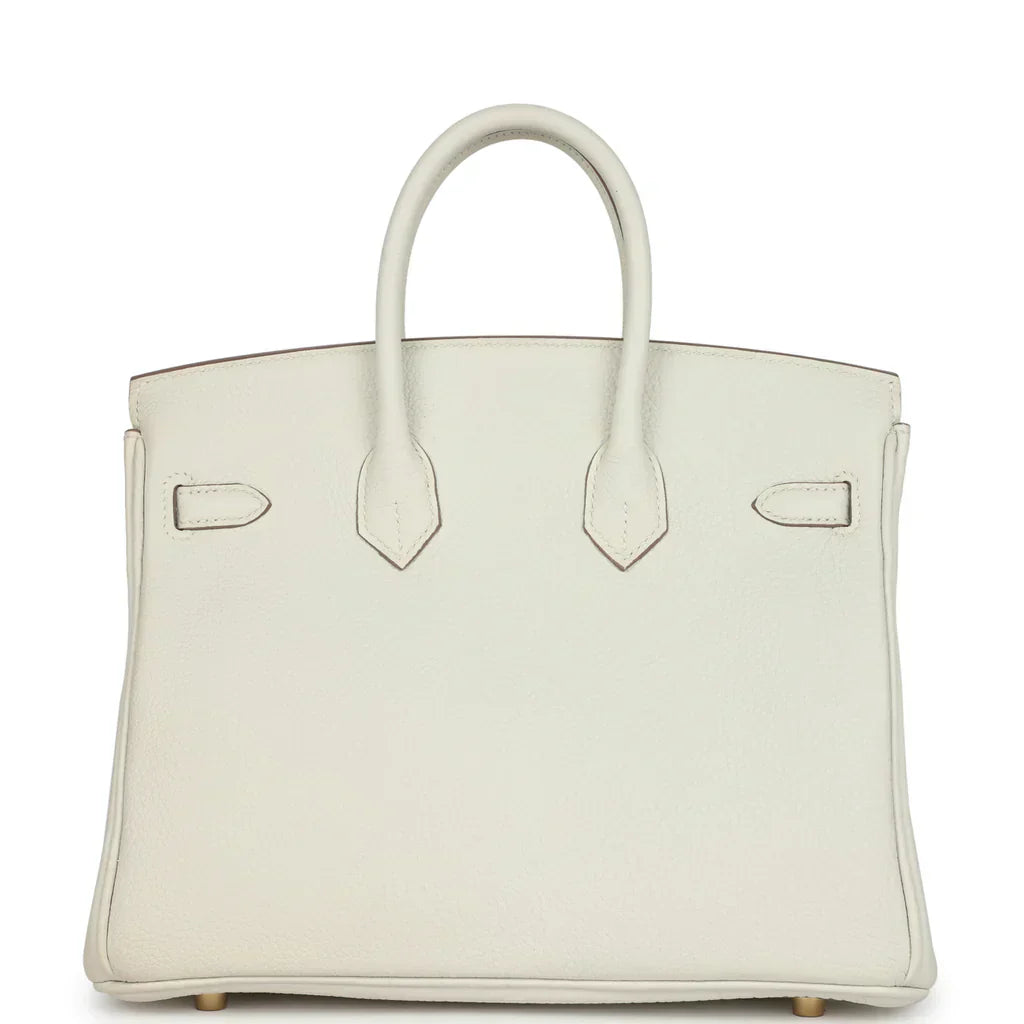 Hermes Birkin 25 Leather Gold Hardware Handbag Bag for Women (White Matt)