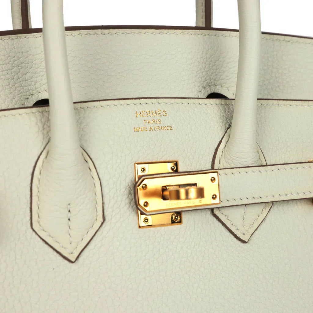 Hermes Birkin 25 Leather Gold Hardware Handbag Bag for Women (White Matt)