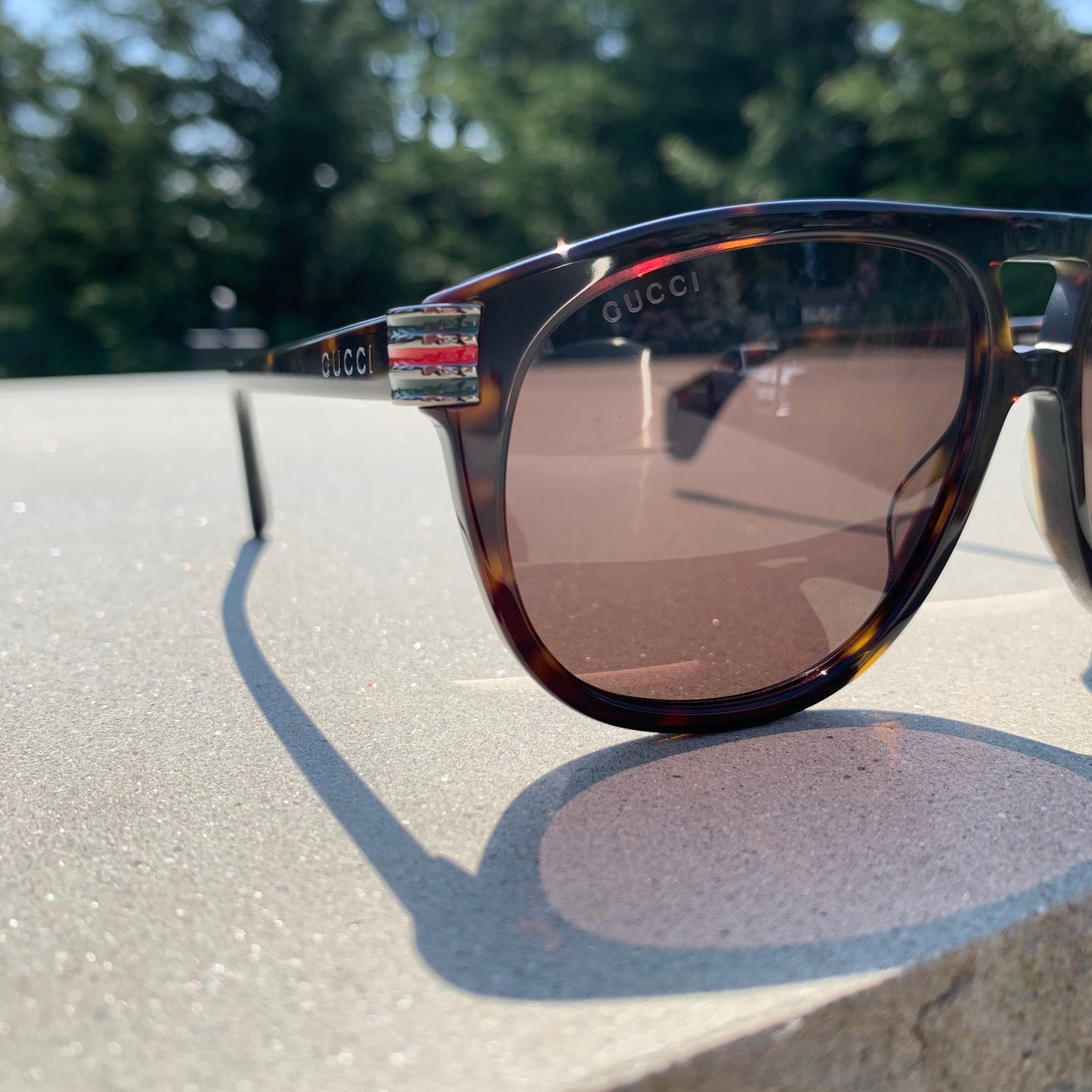 Gucci Web Logo Aviators in Havana Brown
