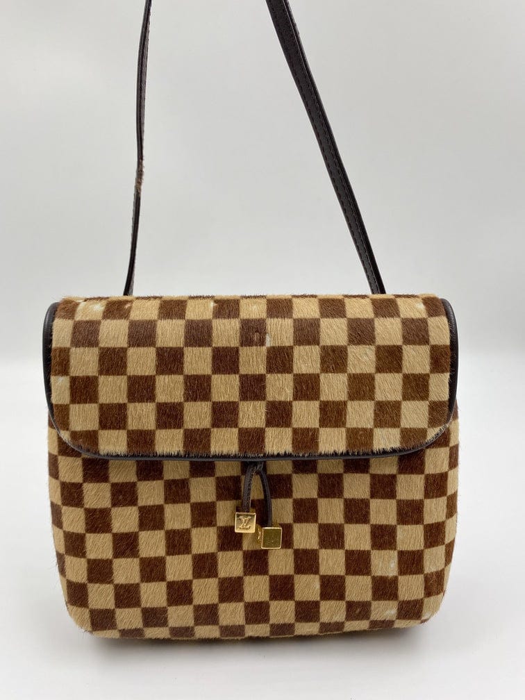 Louis Vuitton Damier Sauvage Gazelle Bag
