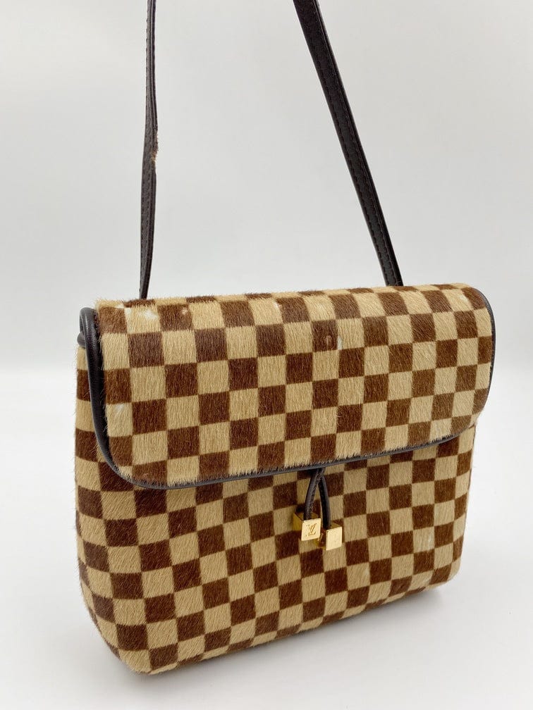Louis Vuitton Damier Sauvage Gazelle Bag