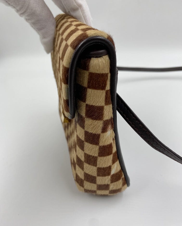 Louis Vuitton Damier Sauvage Gazelle Bag