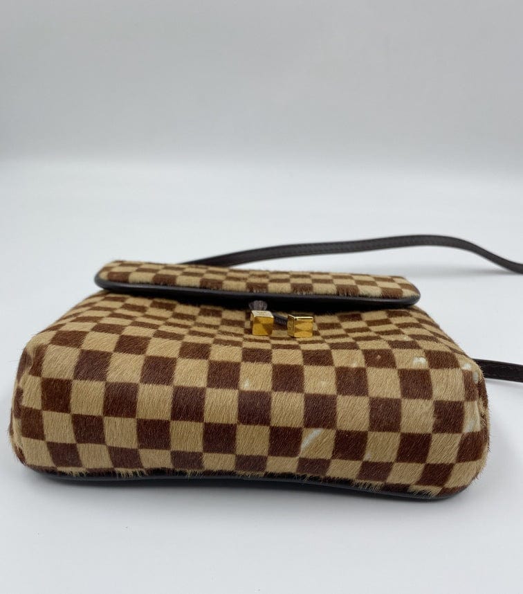 Louis Vuitton Damier Sauvage Gazelle Bag