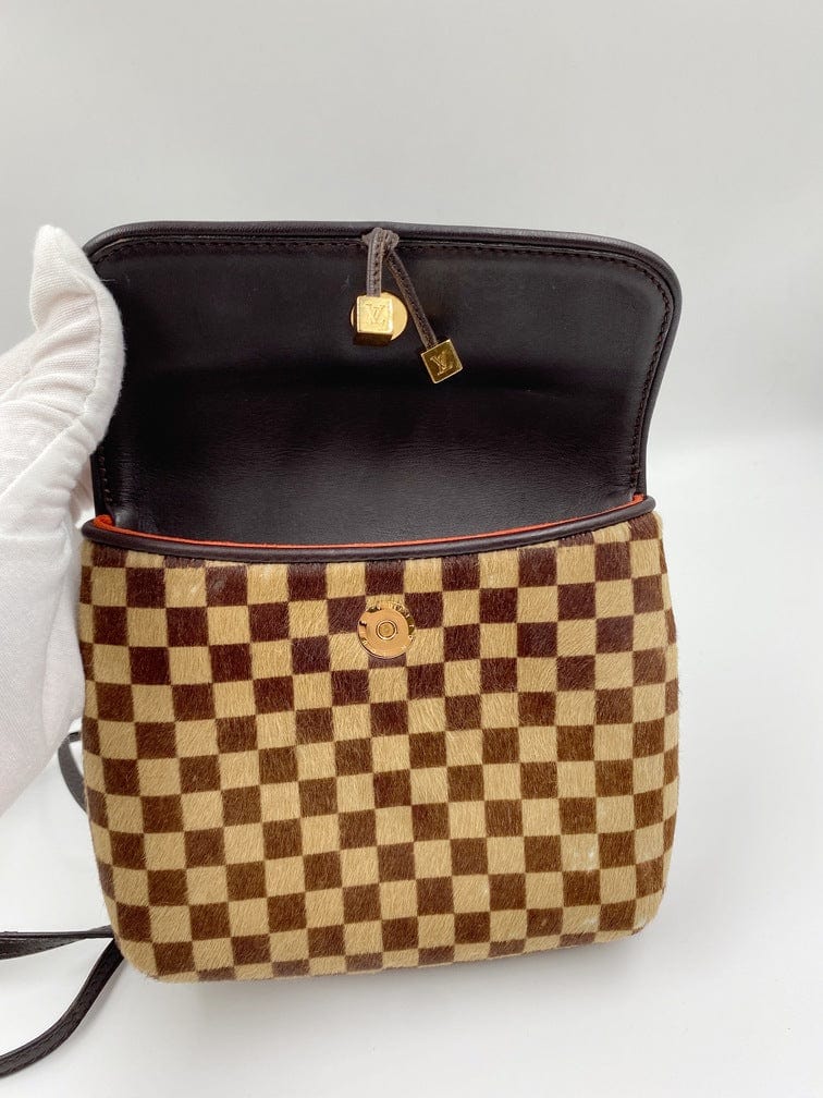 Louis Vuitton Damier Sauvage Gazelle Bag