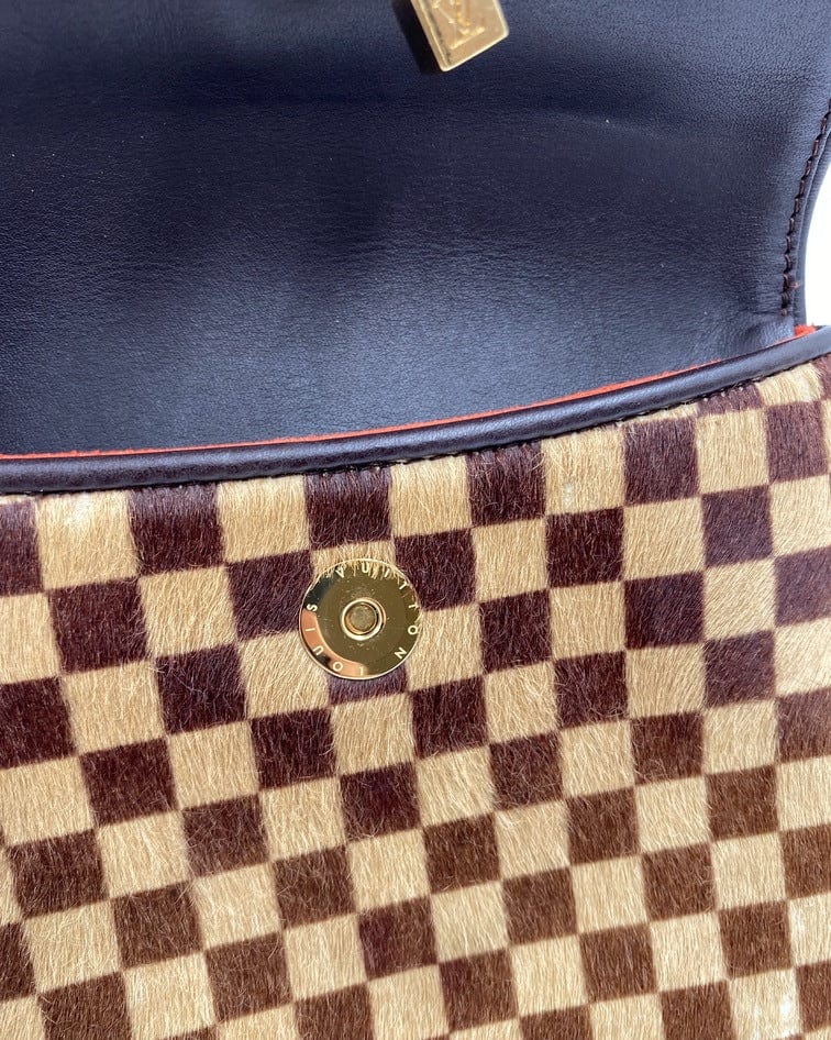 Louis Vuitton Damier Sauvage Gazelle Bag