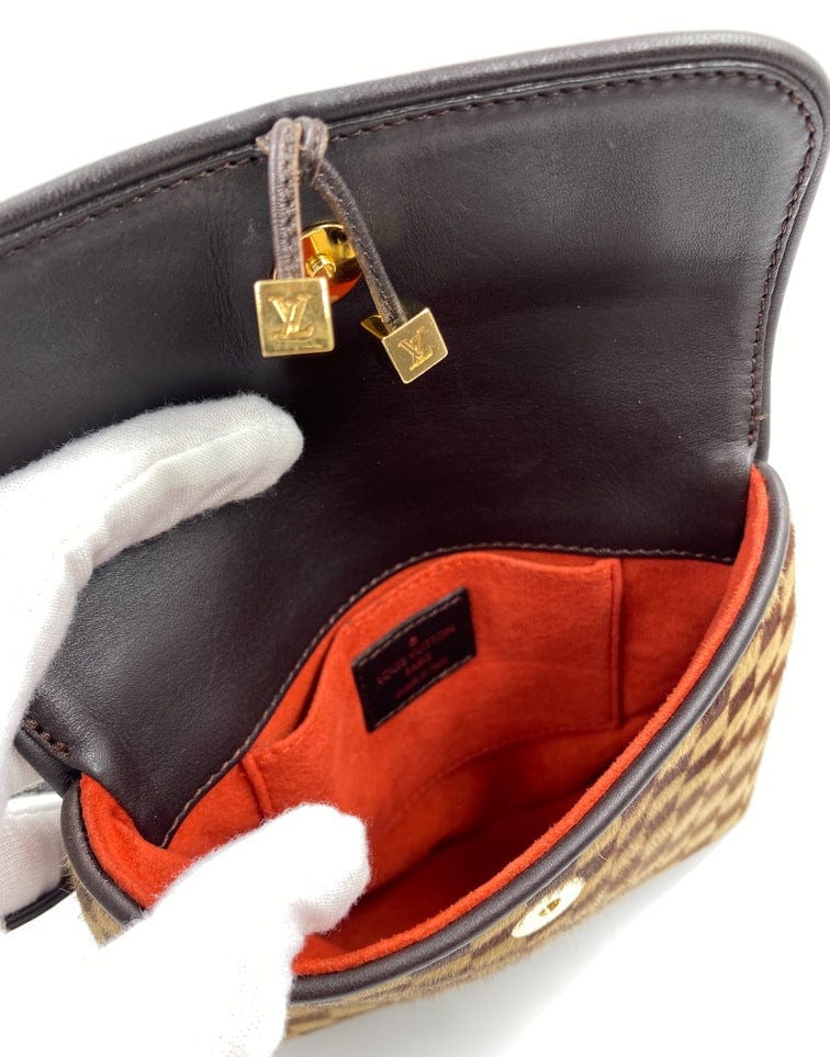 Louis Vuitton Damier Sauvage Gazelle Bag