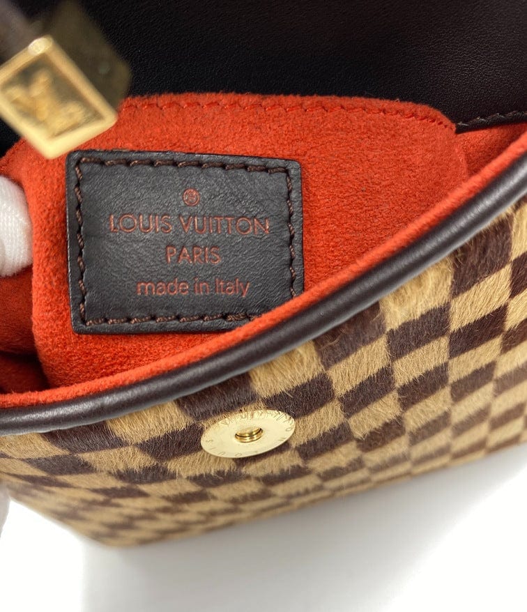 Louis Vuitton Damier Sauvage Gazelle Bag