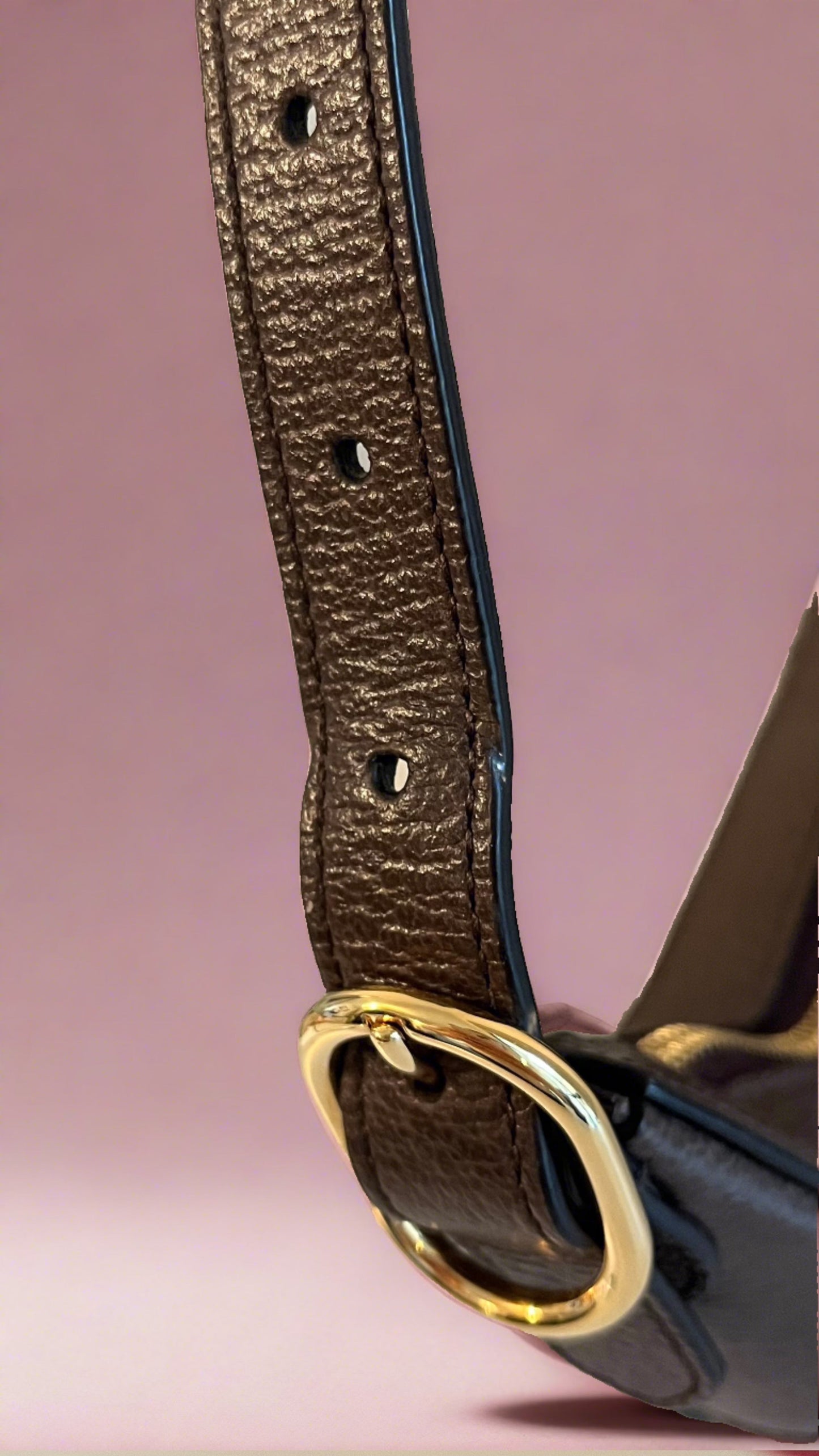 Gucci Ophidia GG Mini Shoulder bag