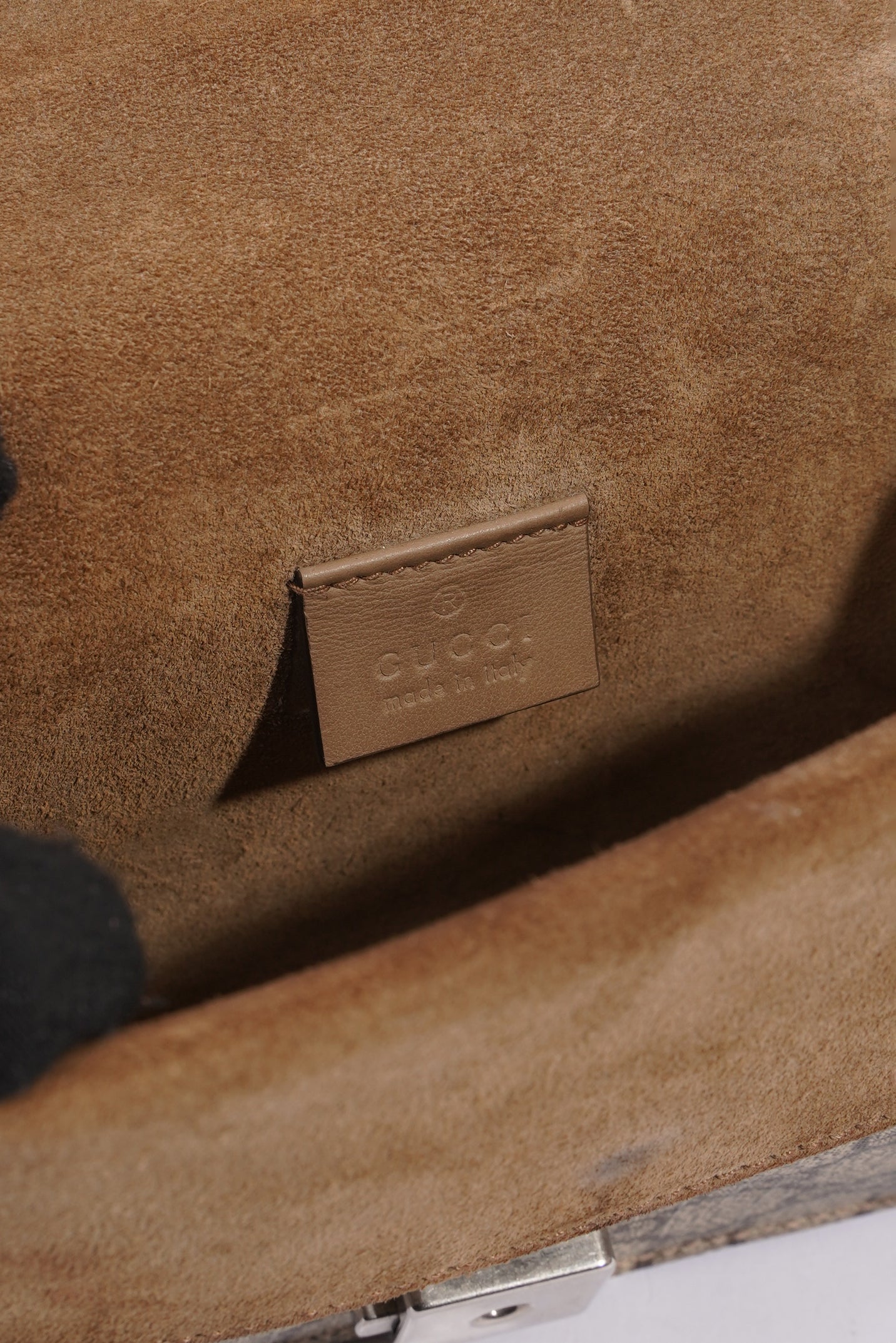 Gucci Dionysus Supreme Coated Canvas Mini