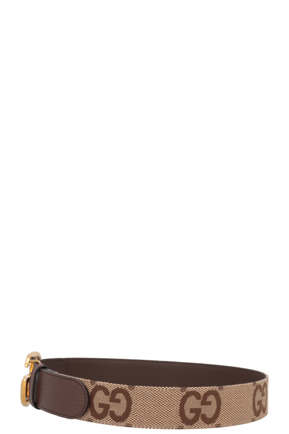 GUCCI Jumbo GG Marmont Belt Brown