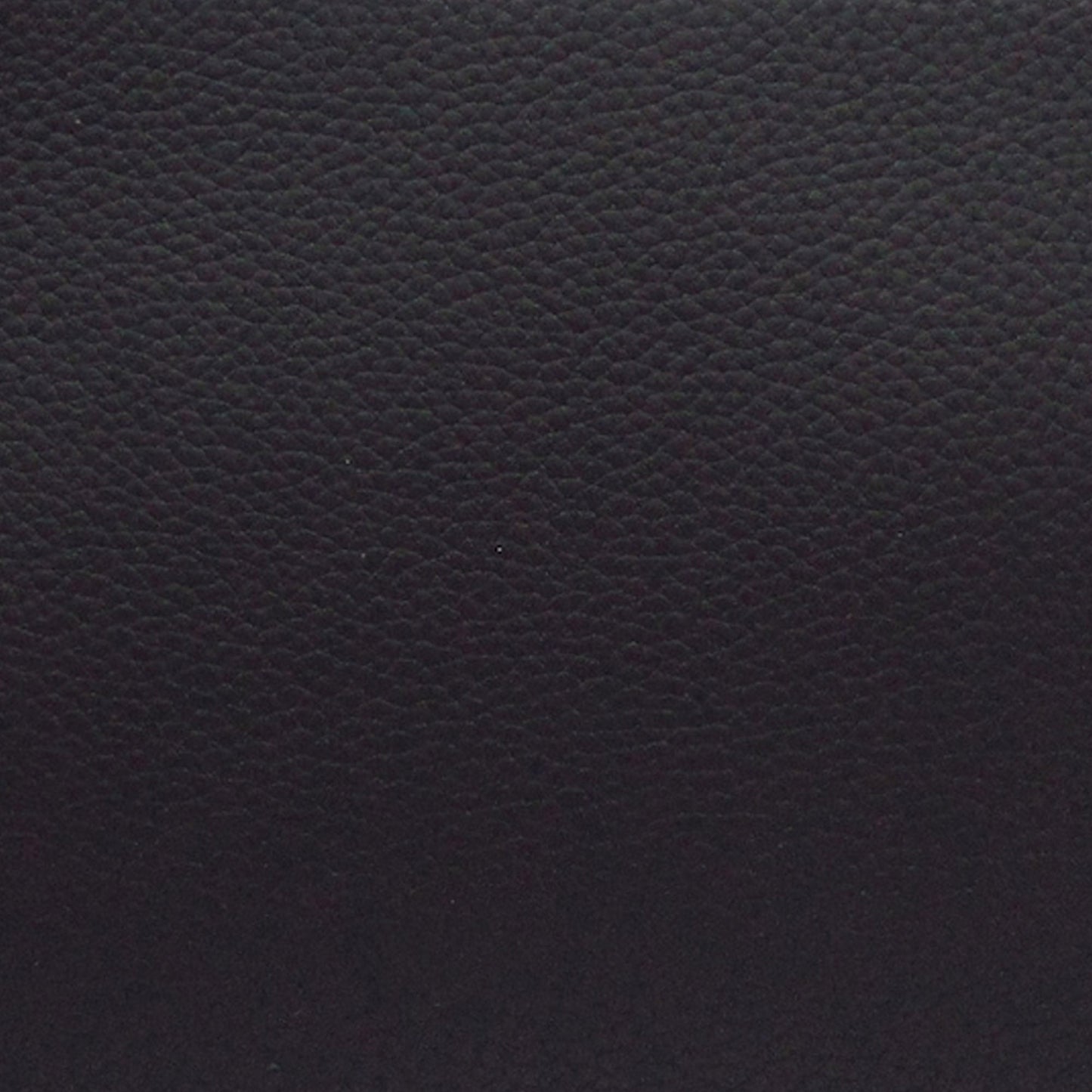 Louis Vuitton Alpha Wearable Wallet Black Calfskin