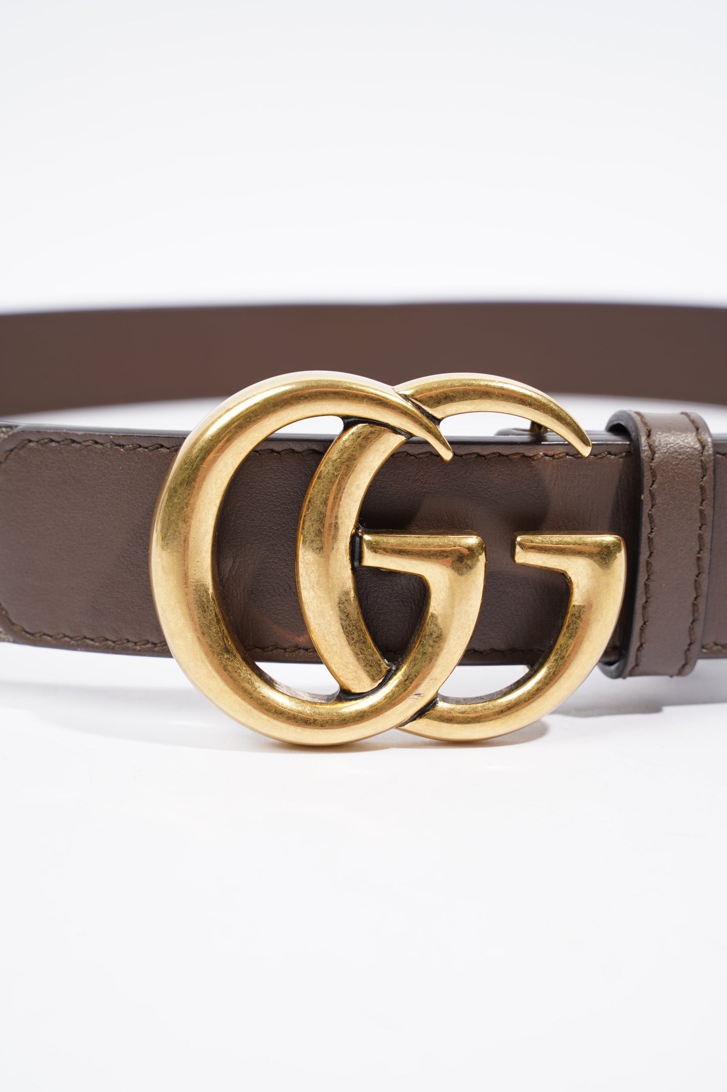 Gucci Marmont Belt Supreme / Brown Canvas 85cm 34"