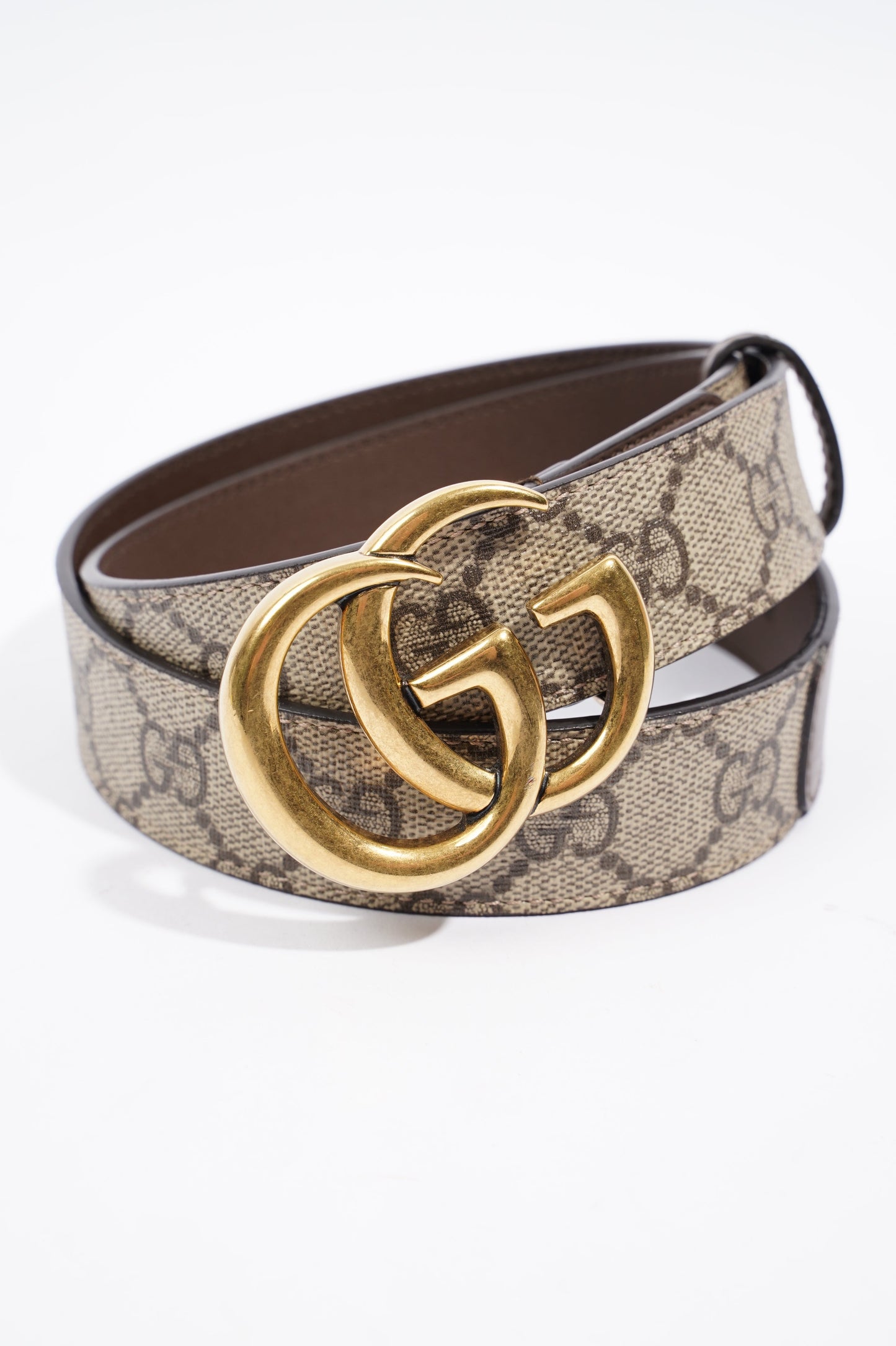 Gucci Marmont Belt Supreme / Brown Canvas 85cm 34"