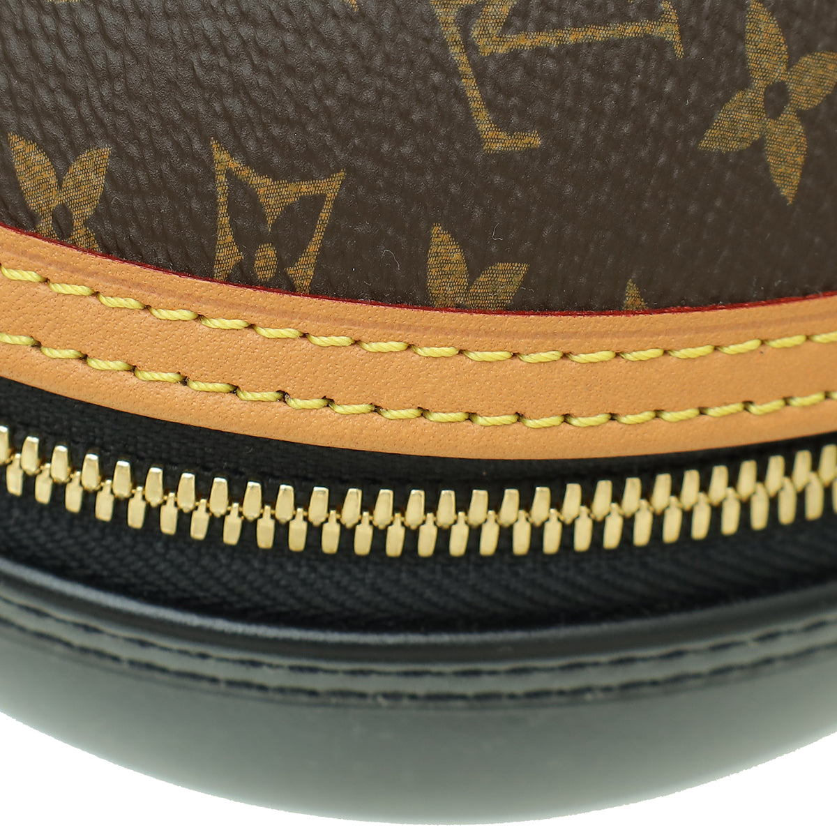 Louis Vuitton Bicolor Monogram & Calf Egg Bag