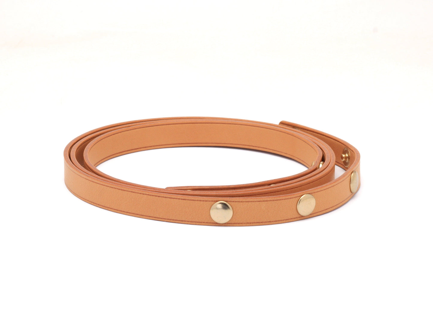 Louis Vuitton Florentine Strap