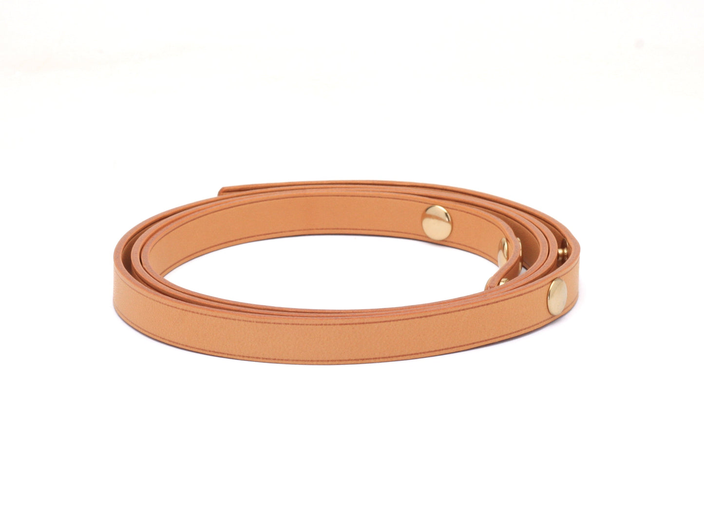Louis Vuitton Florentine Strap