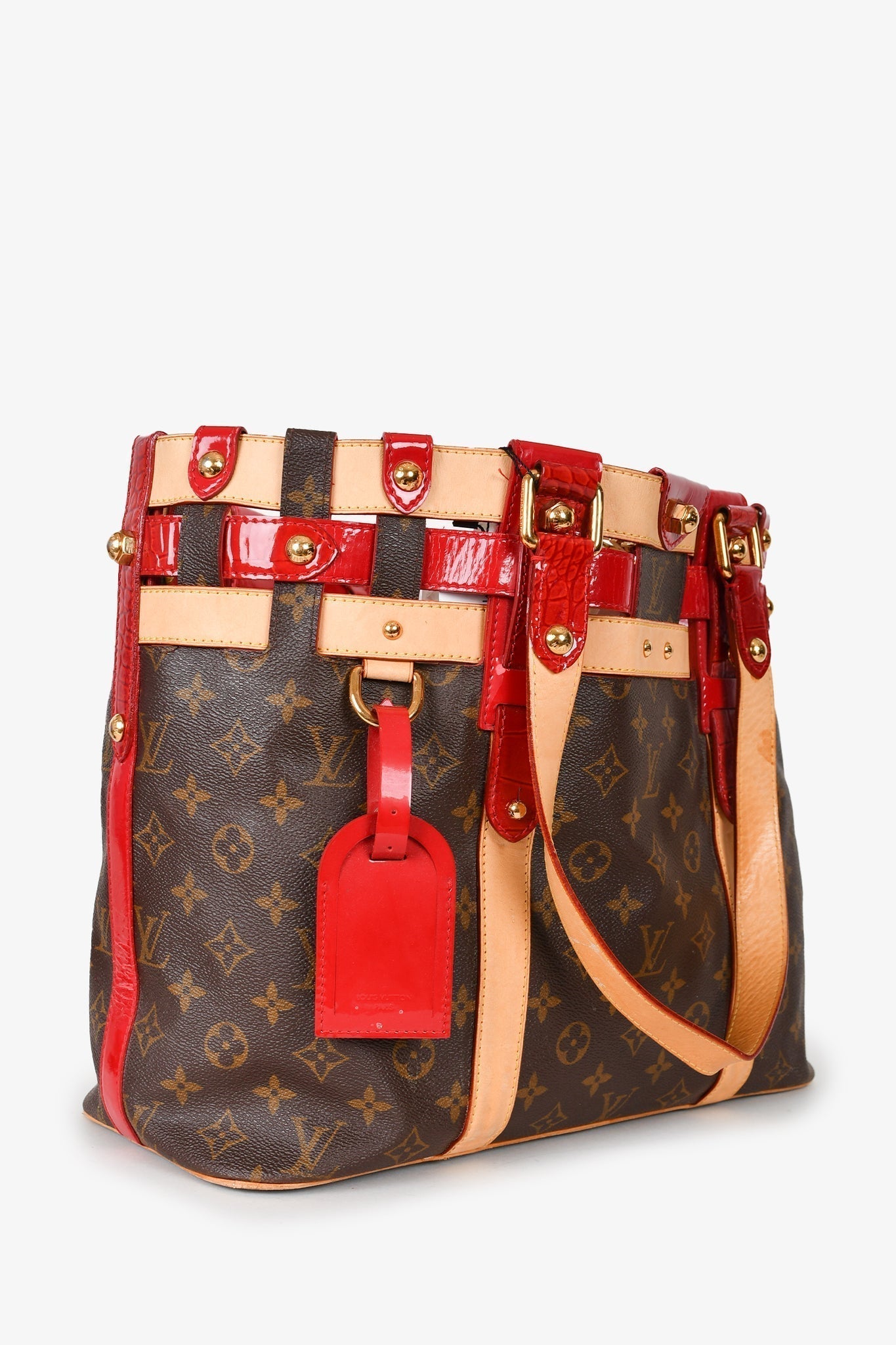 Louis Vuitton 2007 Monogram Canvas/Leather Rubis Salina MM Tote
