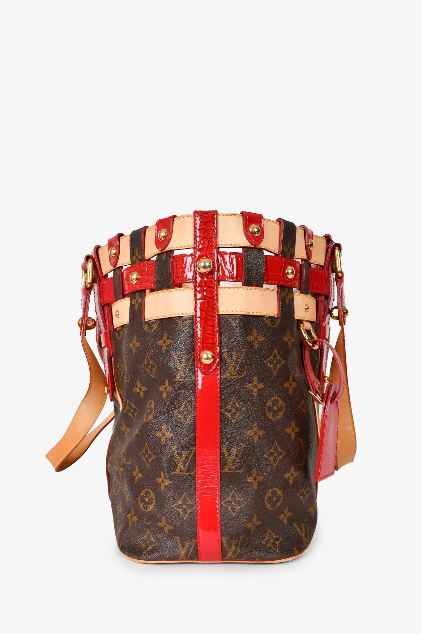 Louis Vuitton 2007 Monogram Canvas/Leather Rubis Salina MM Tote