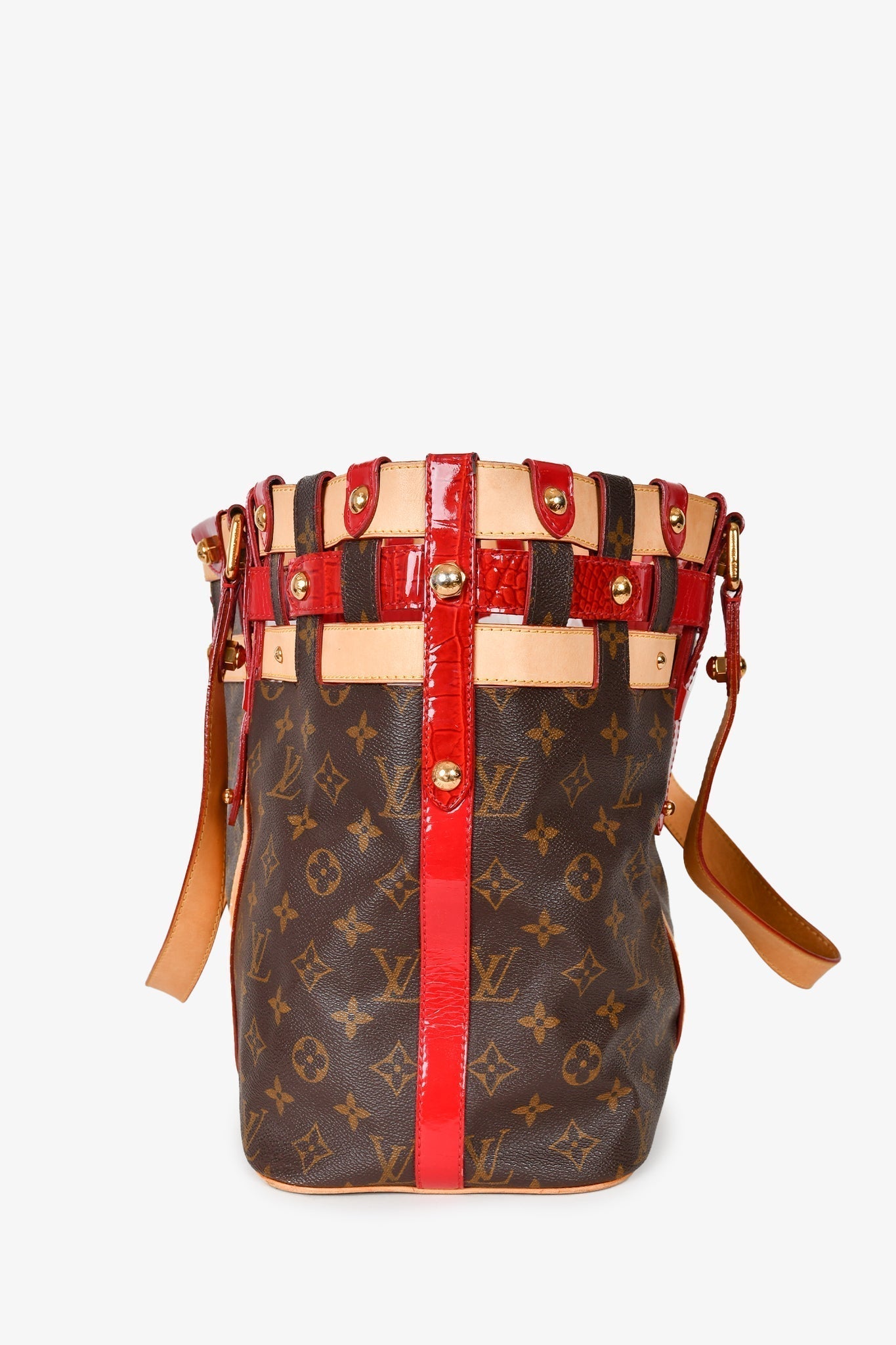 Louis Vuitton 2007 Monogram Canvas/Leather Rubis Salina MM Tote