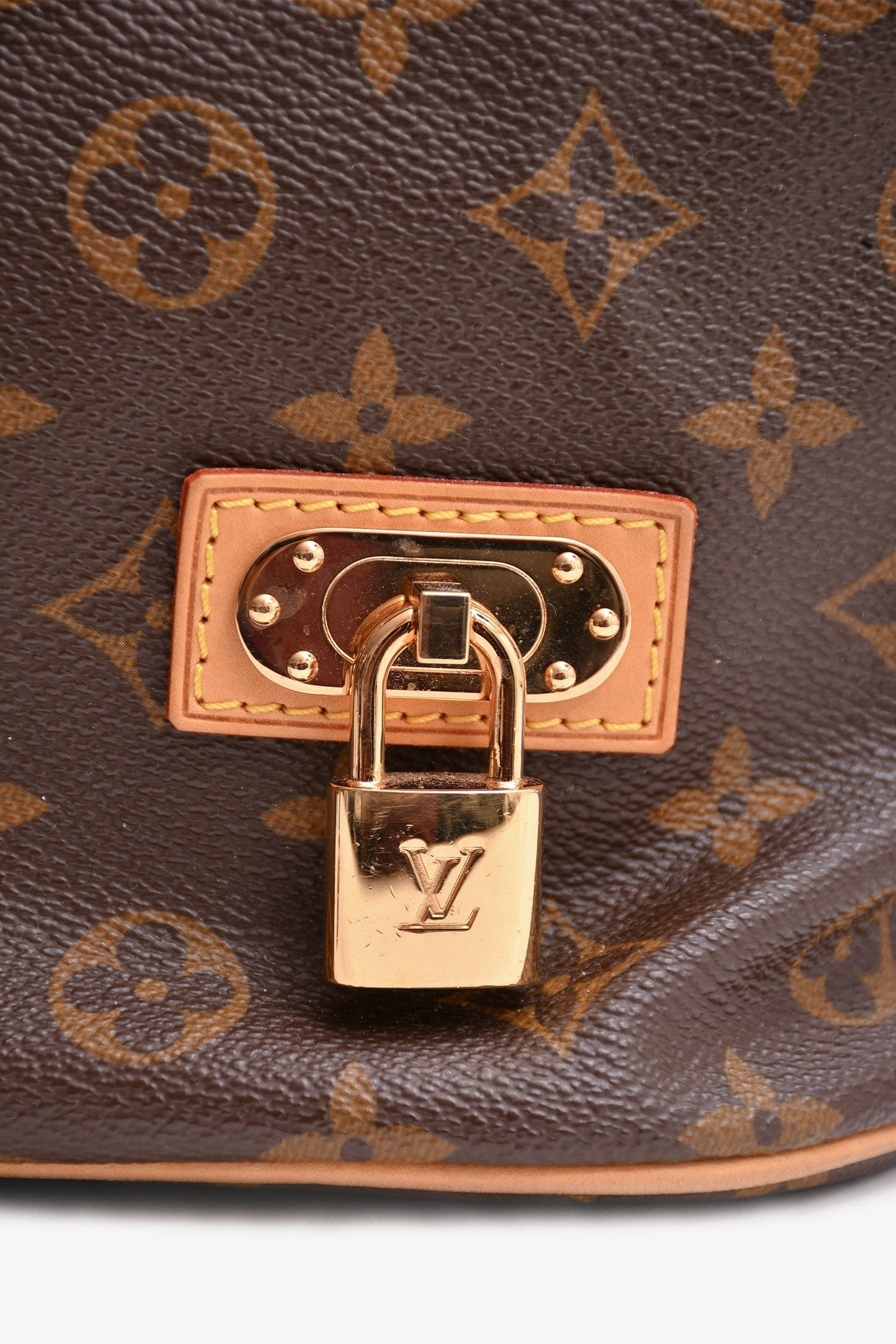 Louis Vuitton 2010 Monogram Eden Noe Bucket Bag with Strap