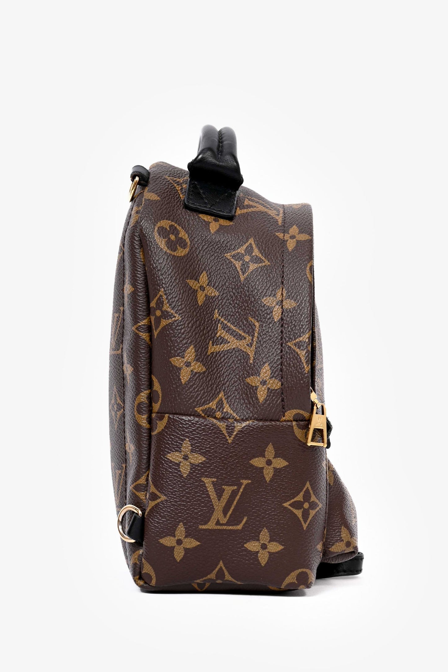 Louis Vuitton 2019 Monogram Palm Springs PM Backpack