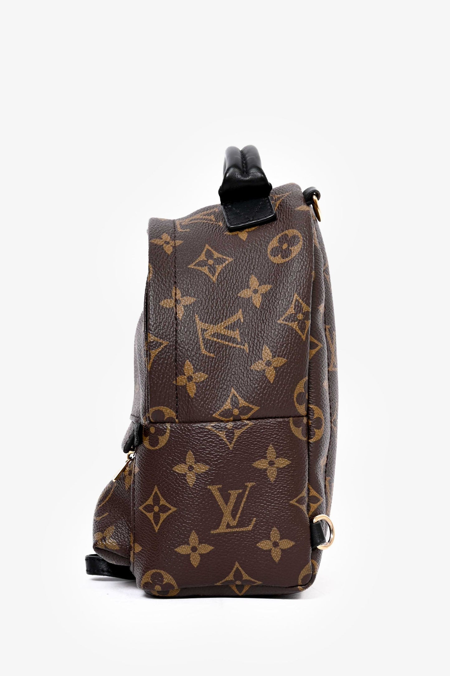 Louis Vuitton 2019 Monogram Palm Springs PM Backpack