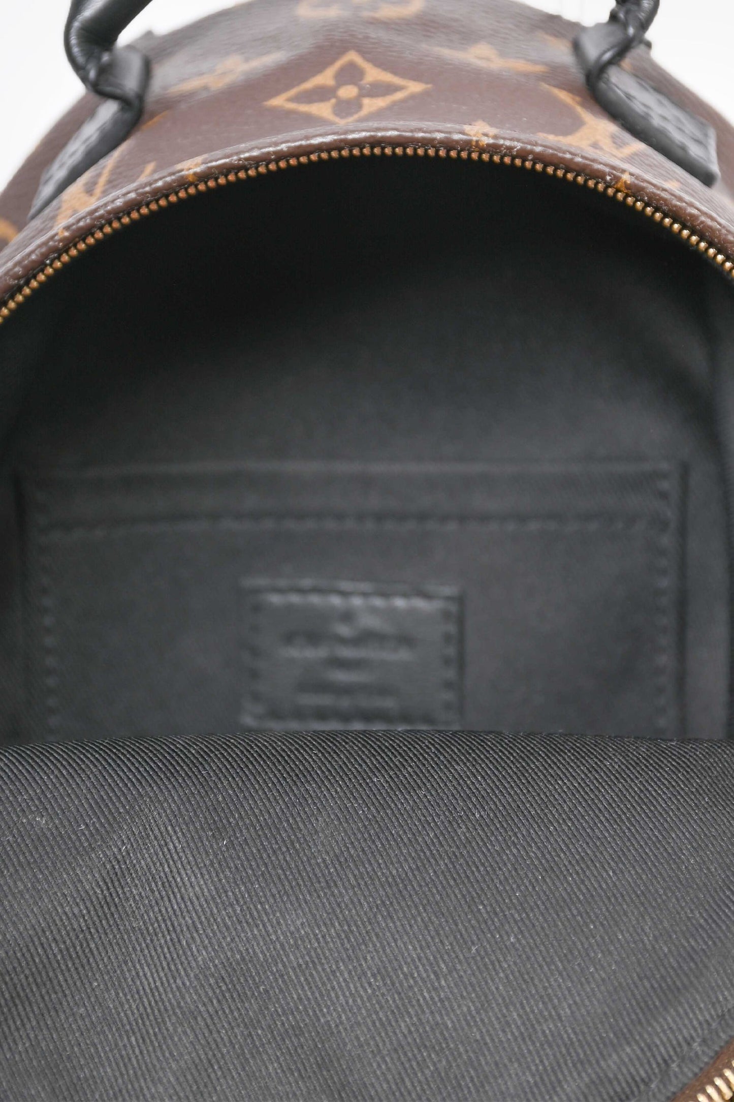Louis Vuitton 2019 Monogram Palm Springs PM Backpack