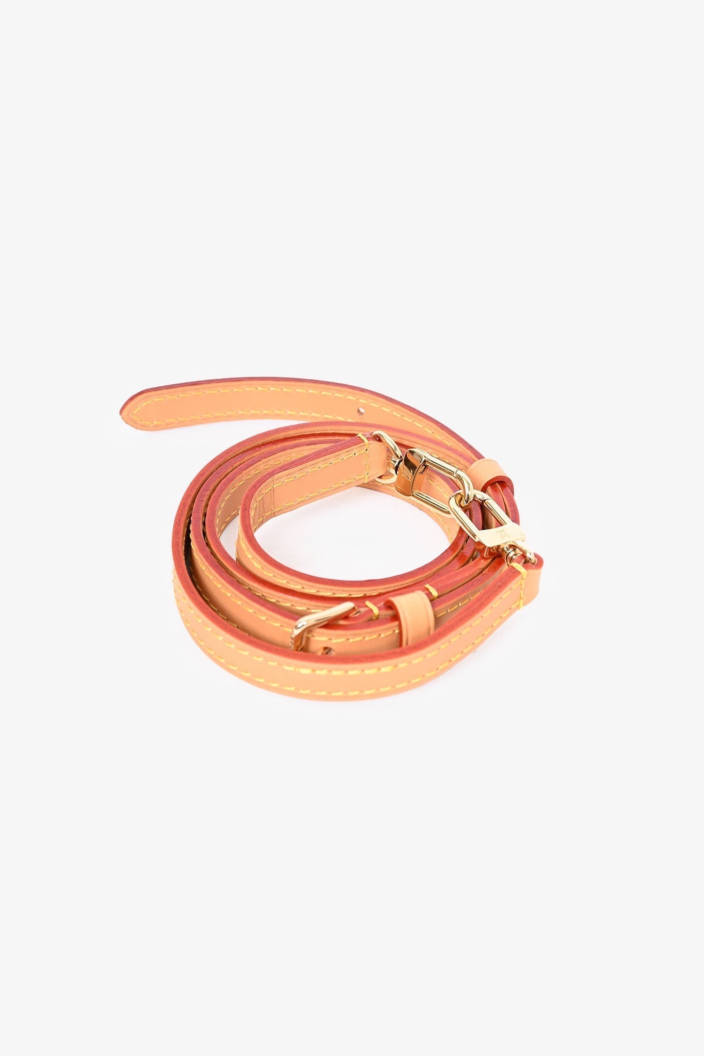 Louis Vuitton 2024 Monogram Nano Noe Bucket Bag