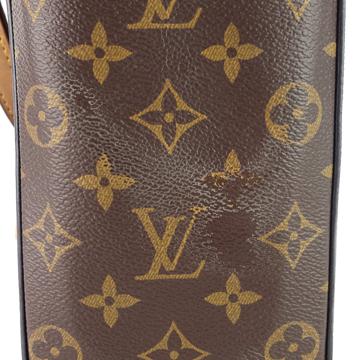 LOUIS VUITTON Cluny BB Monogram Canvas Bag