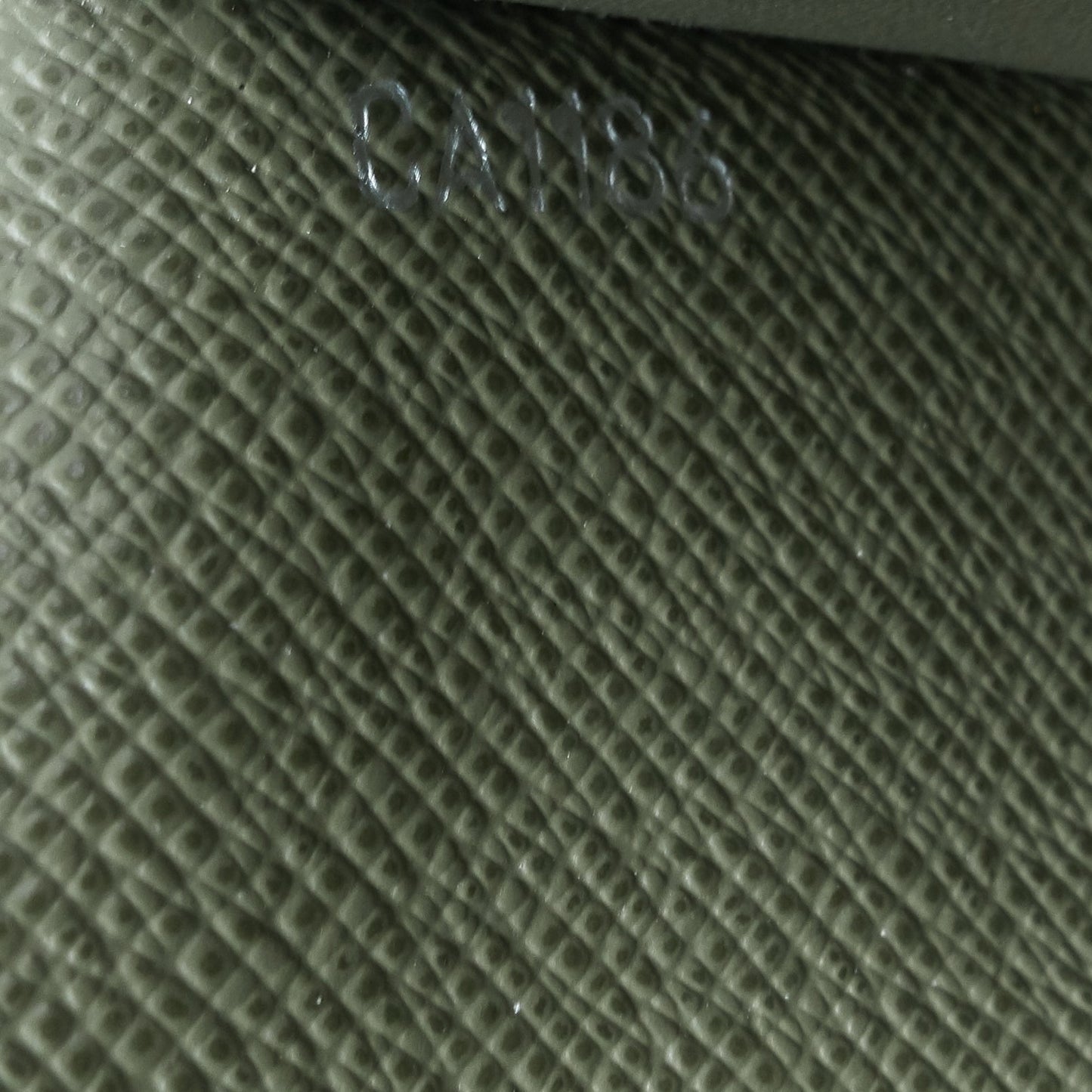 LOUIS VUITTON Brazza Green Epi Leather Wallet