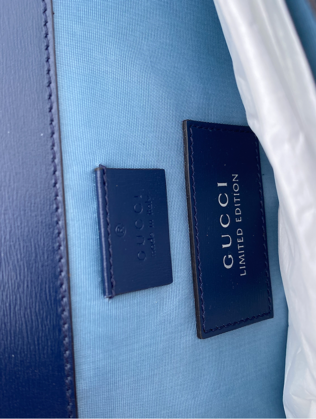 Gucci Dionysus Hand Painted Shoulder Bag in Blue Agate