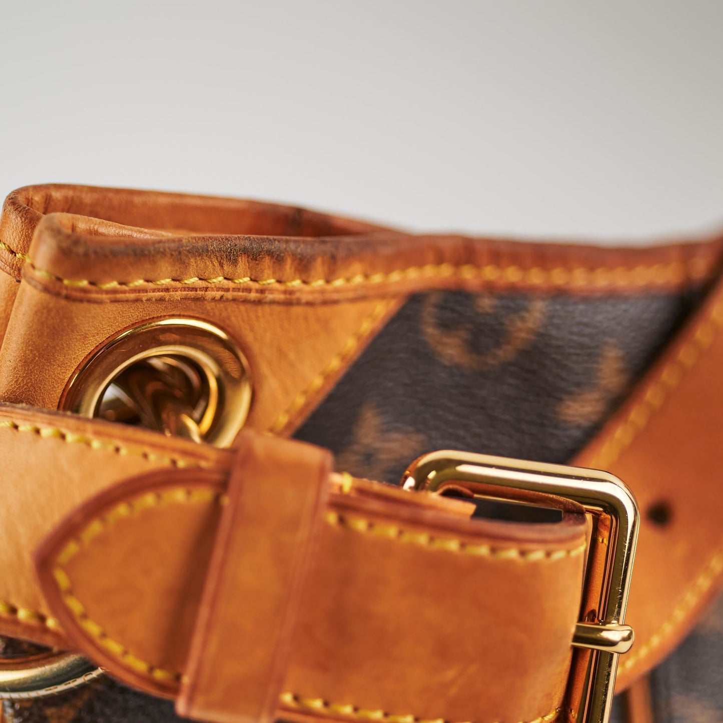 Louis Vuitton Galliera Monogram
