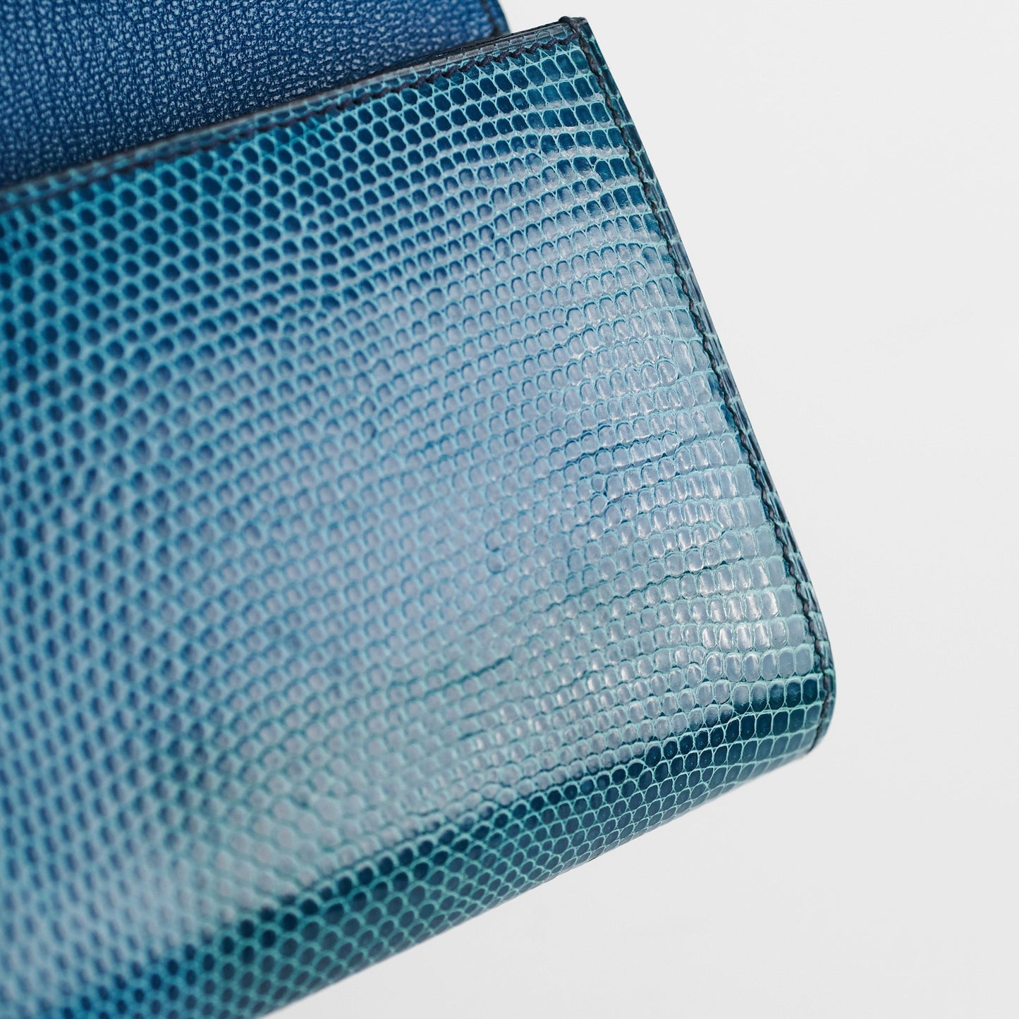 Hermes Medor Lizard Clutch - R Stamp 2014